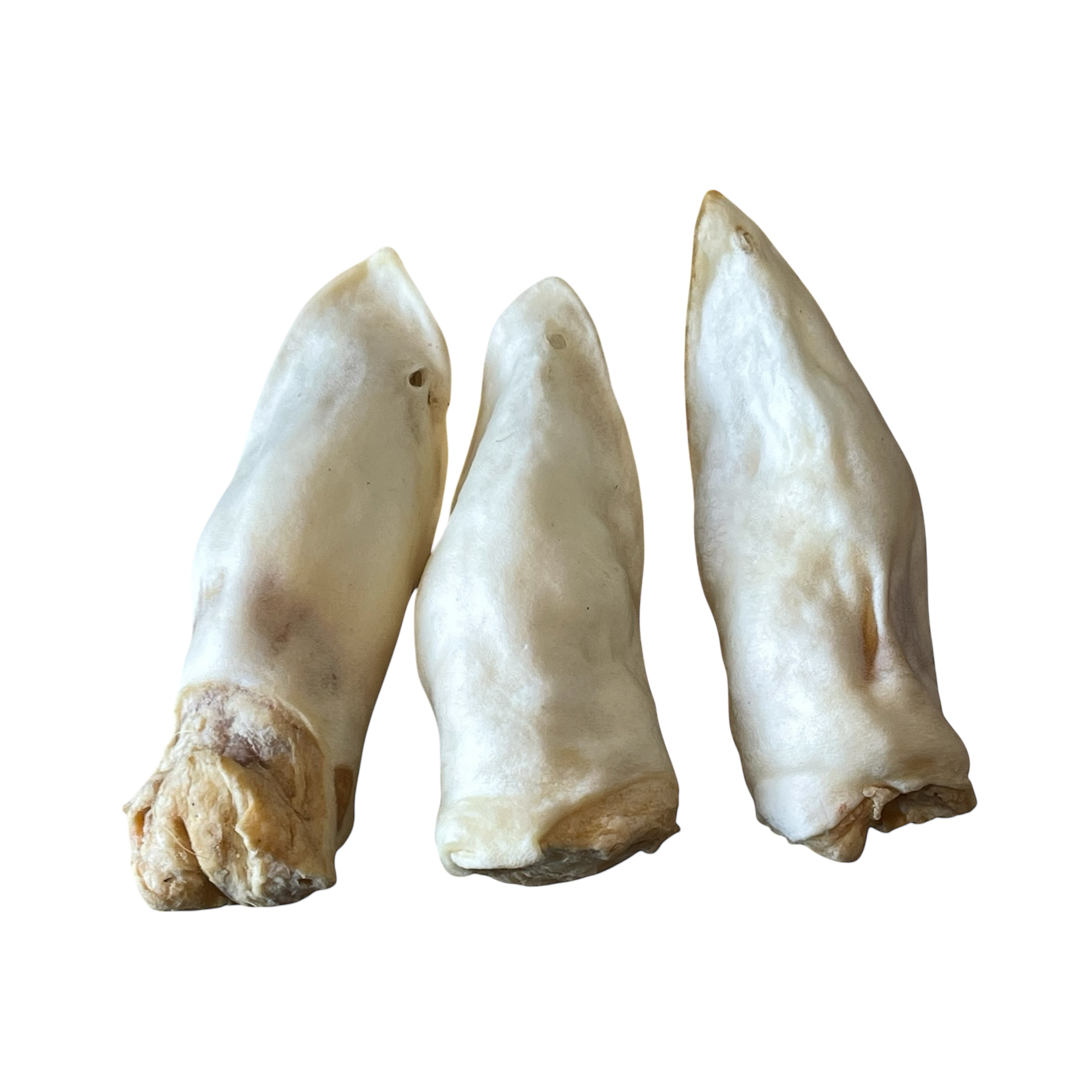 Ziegen-Ohren