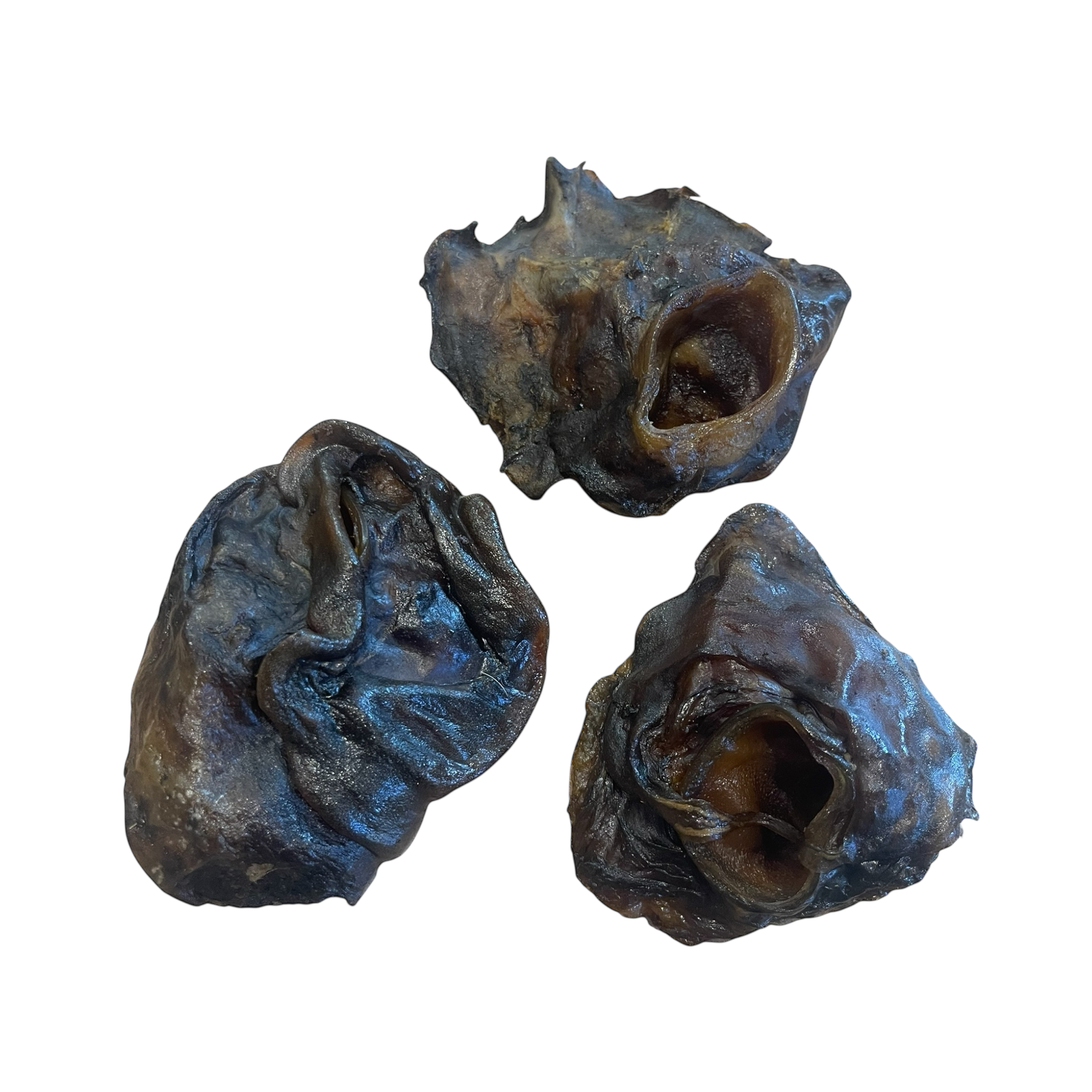 Rinder Ohr Muscheln