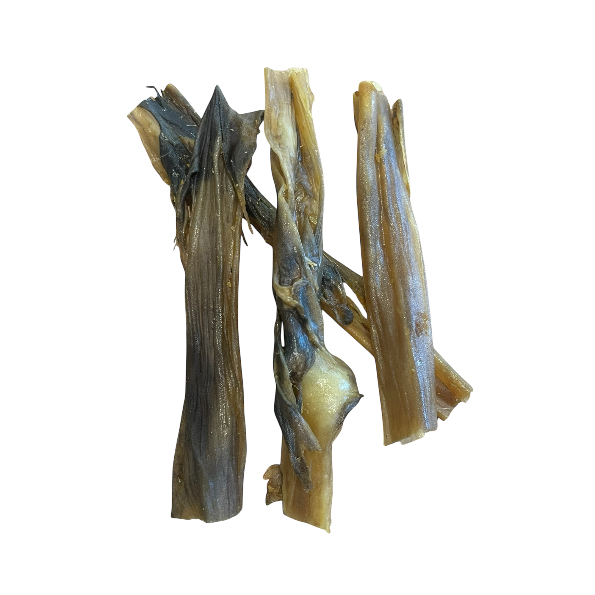 Kaninchen-Haut