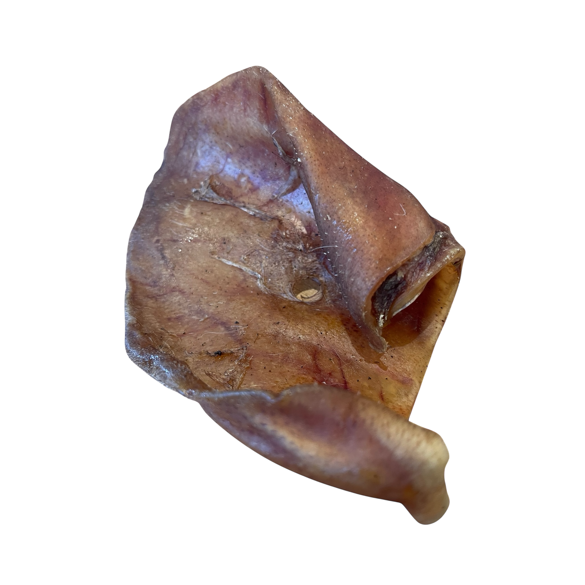 Schweine Ohr