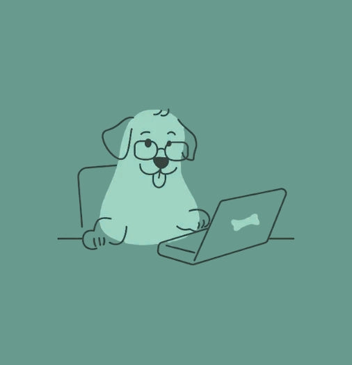 Ein Hund mit Brille sitzt am Computer, symbolisiert die Arbeit für Lucky Heaven Ranch, für Hunde.