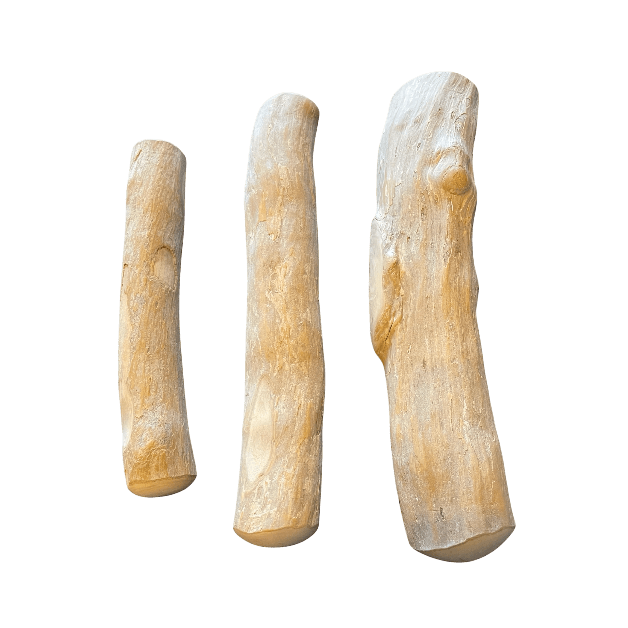 Kaffeeholz Kaustab S-L aus Kaffeebaumholz in drei Größen, ideal für die Zahnpflege von Hunden, 100% natürlich und vegan.