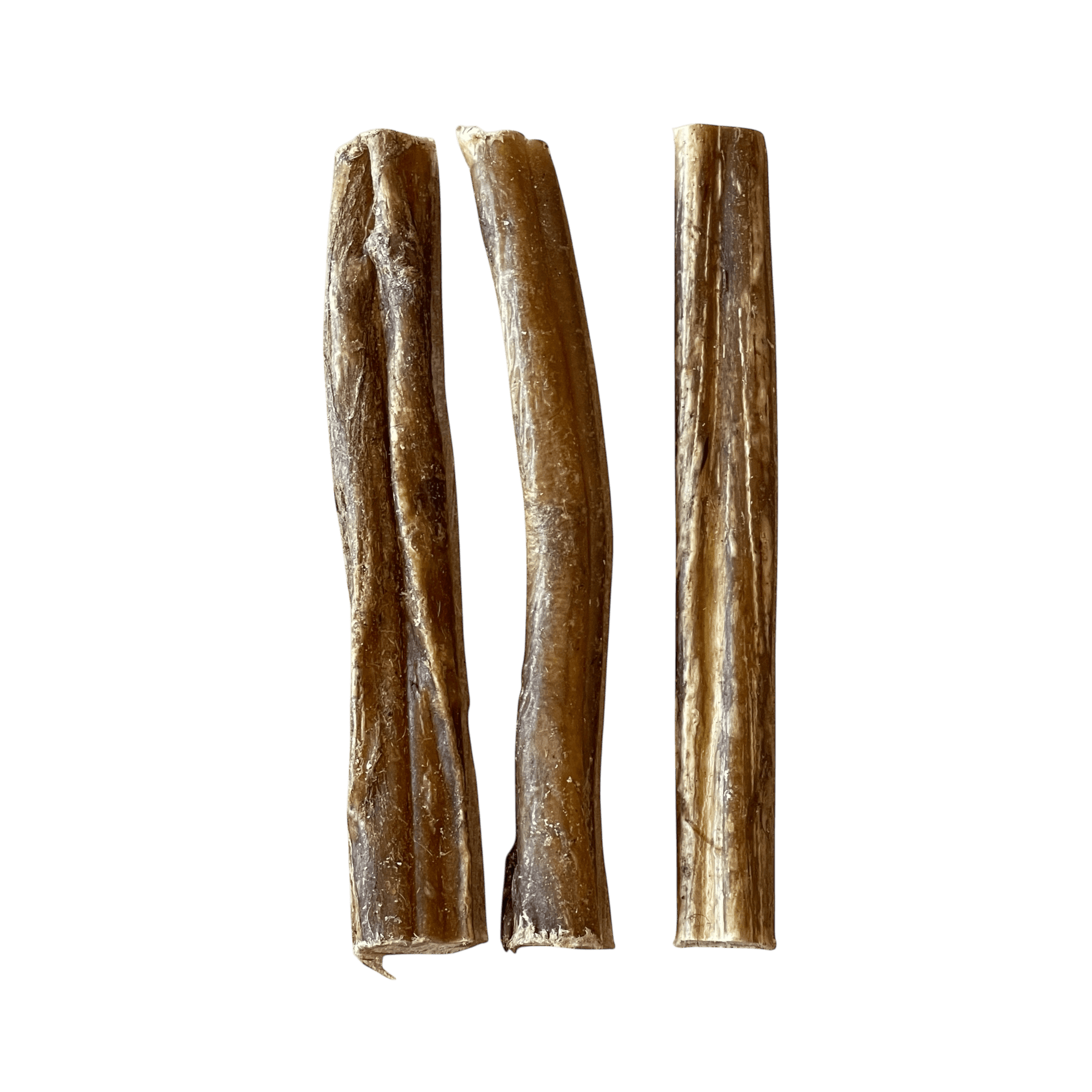 Kalbsziemer (12cm) – Naturkauartikel für Hunde, hochwertige Kauartikel aus 100 % Kalbfleisch