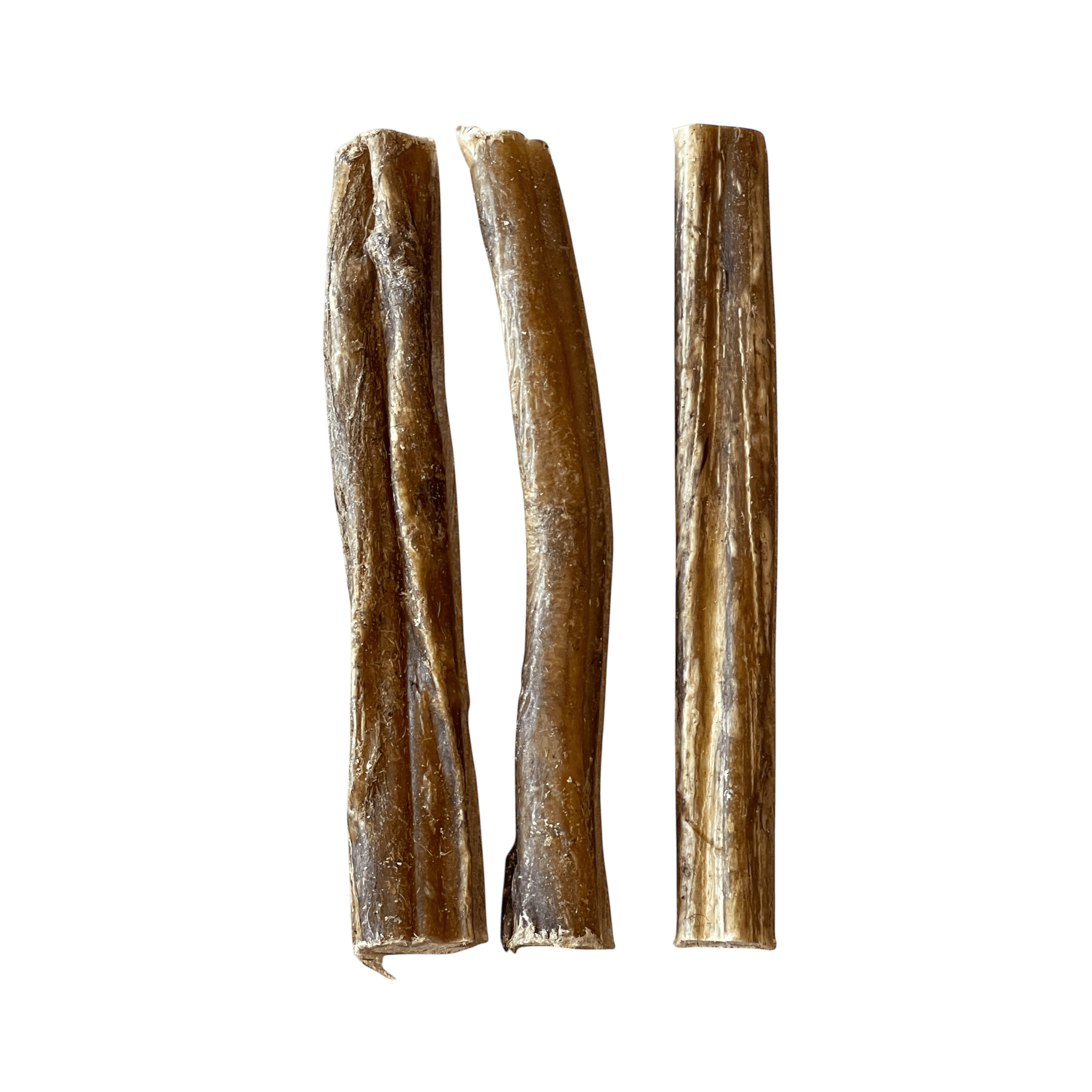 Kalbsziemer (12cm) – Naturkauartikel für Hunde, hochwertige Kauartikel aus 100 % Kalbfleisch