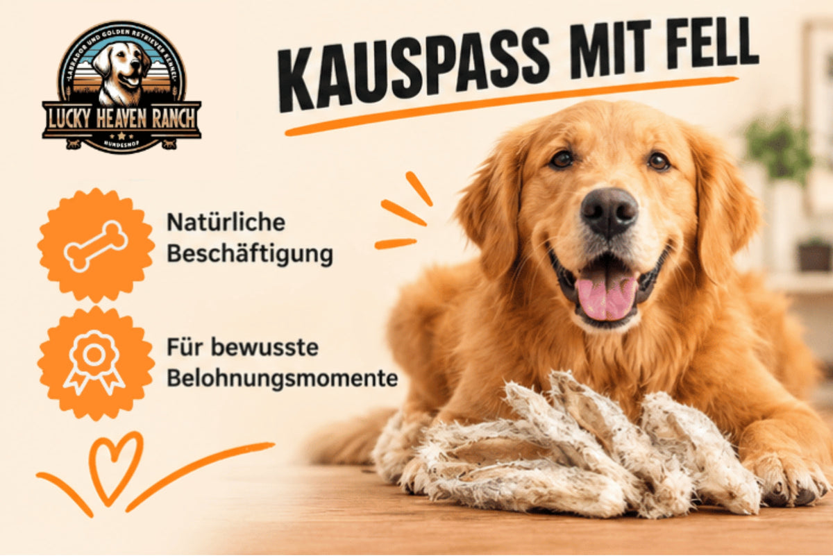 Kaninchenohren mit Fell, Kauspass mit Fell