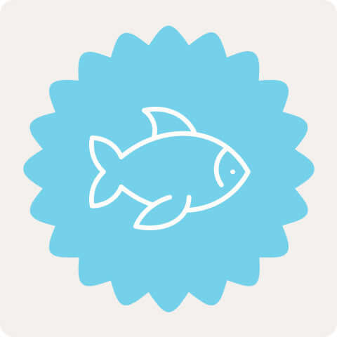 Fisch Kauartikel und Leckerli für Hunde – reich an Omega-3