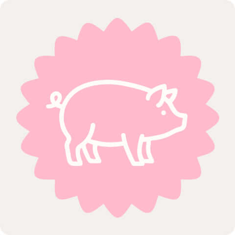 Kauartikel und Leckerli aus Schwein für Hunde – klassischer Protein-Snack