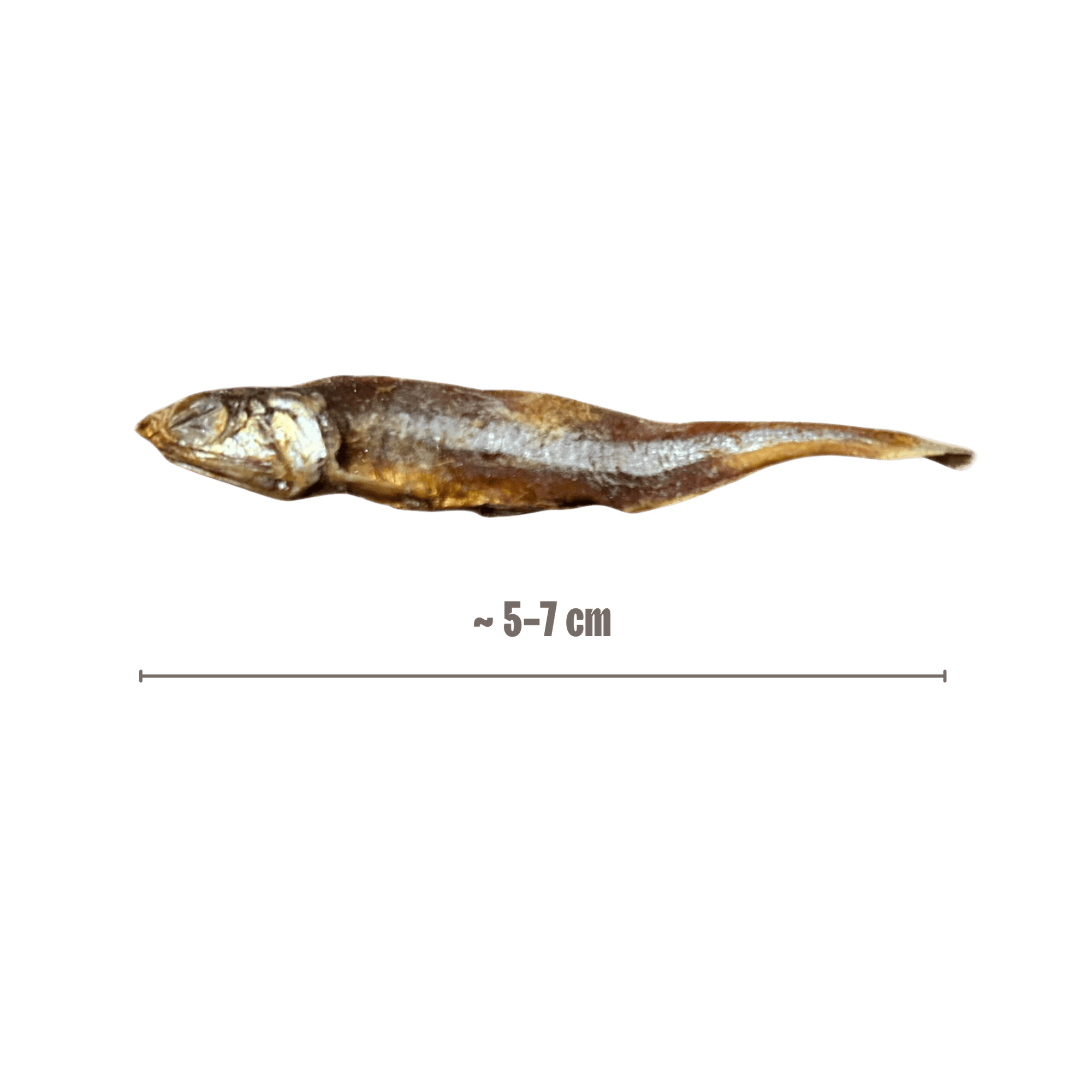 Kleine Fische mit Größenangabe Hunde-Kauartikel 