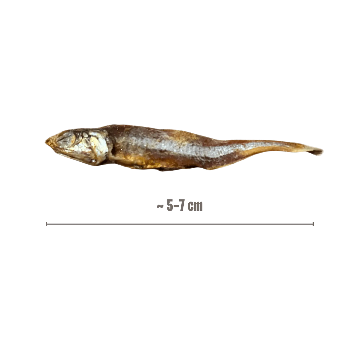 Kleine Fische mit Größenangabe Hunde-Kauartikel 