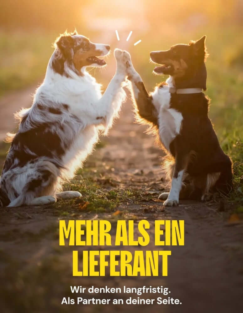 Lucky Heaven Ranch denkt Langfristig, als Partner an deiner Seite