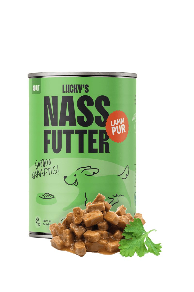 Nassfutterdose in Grün mit Lammfleisch, davor das Produkt und ein Blatt zur Deko