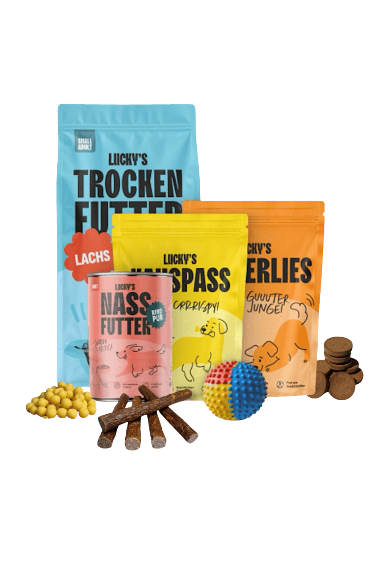 Verschiedene Produktverpackungen in den Farben, Rot, Gelb, Orange, Blau. in Hundeball und verschiedene lose Kauartikel im vordergrund