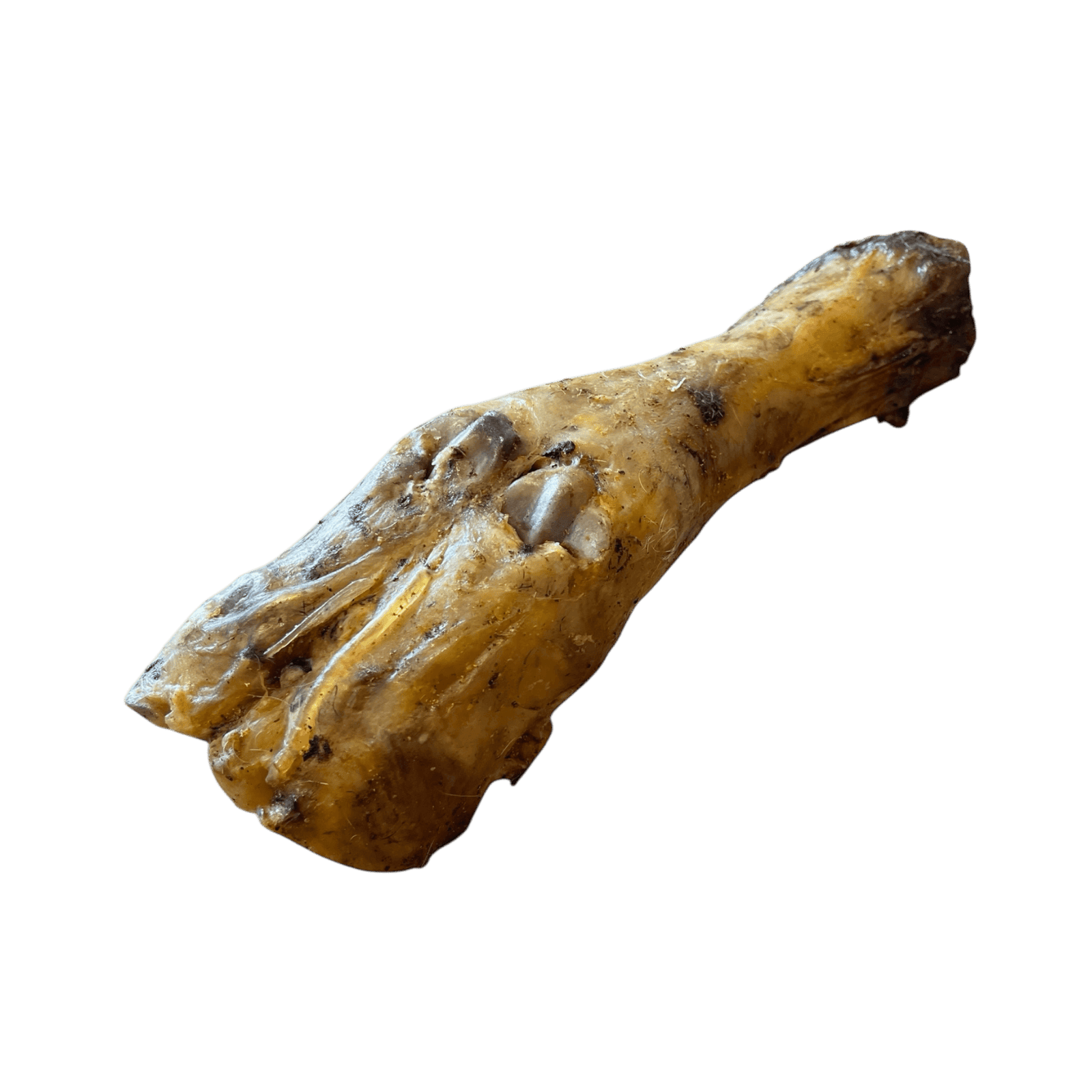 Pferde Unterbein Kauartikel für Hunde – naturbelassener Kausnack aus 100 % Pferd