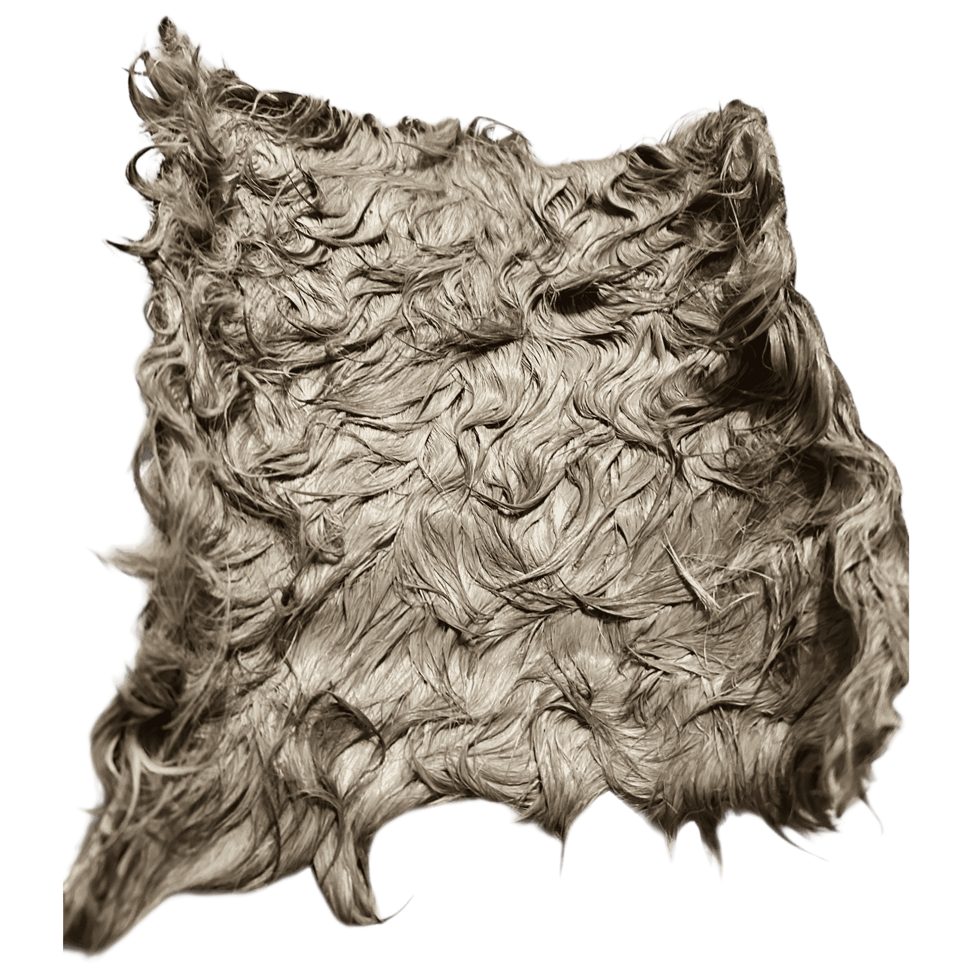 Pferdehautplatte mit Fell – natürlicher Kauartikel für Hunde, schonend getrocknet und proteinreich.