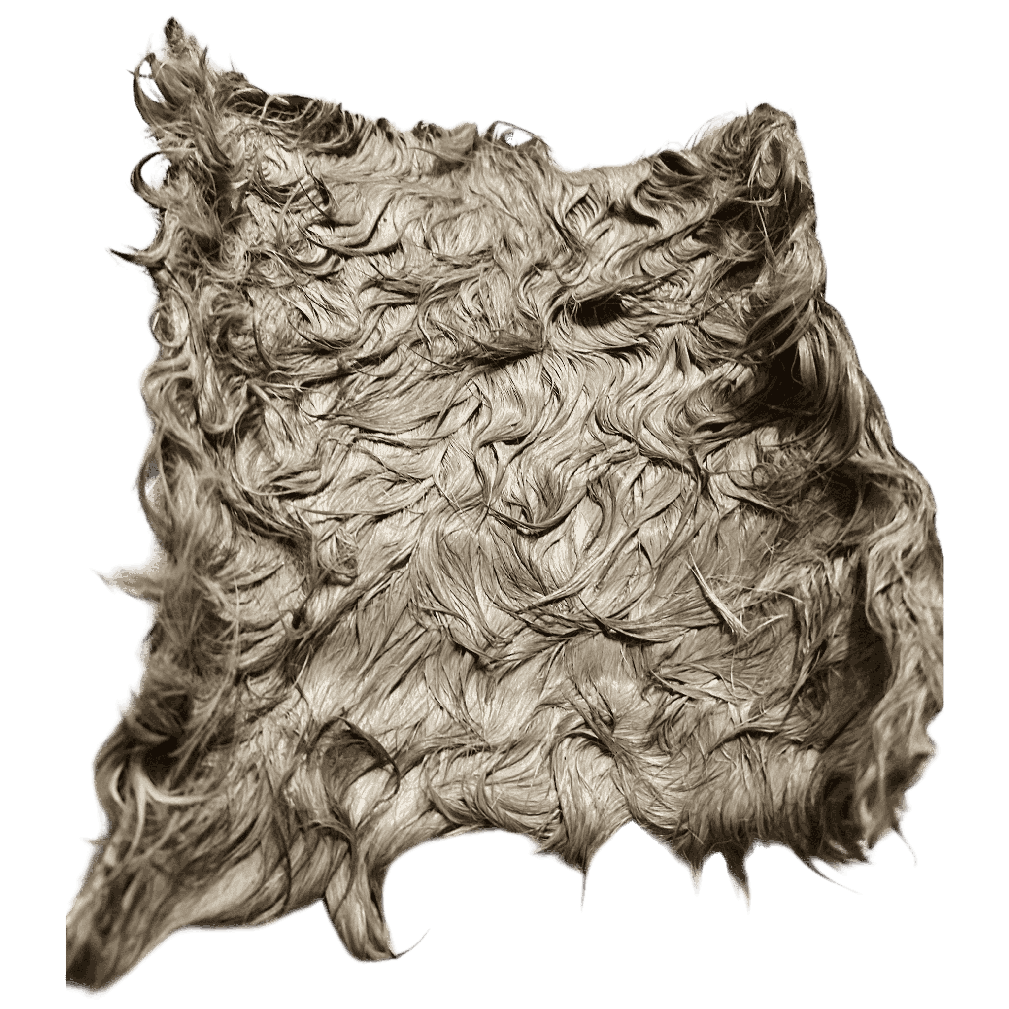 Pferdehautplatte mit Fell – natürlicher Kauartikel für Hunde, schonend getrocknet und proteinreich.