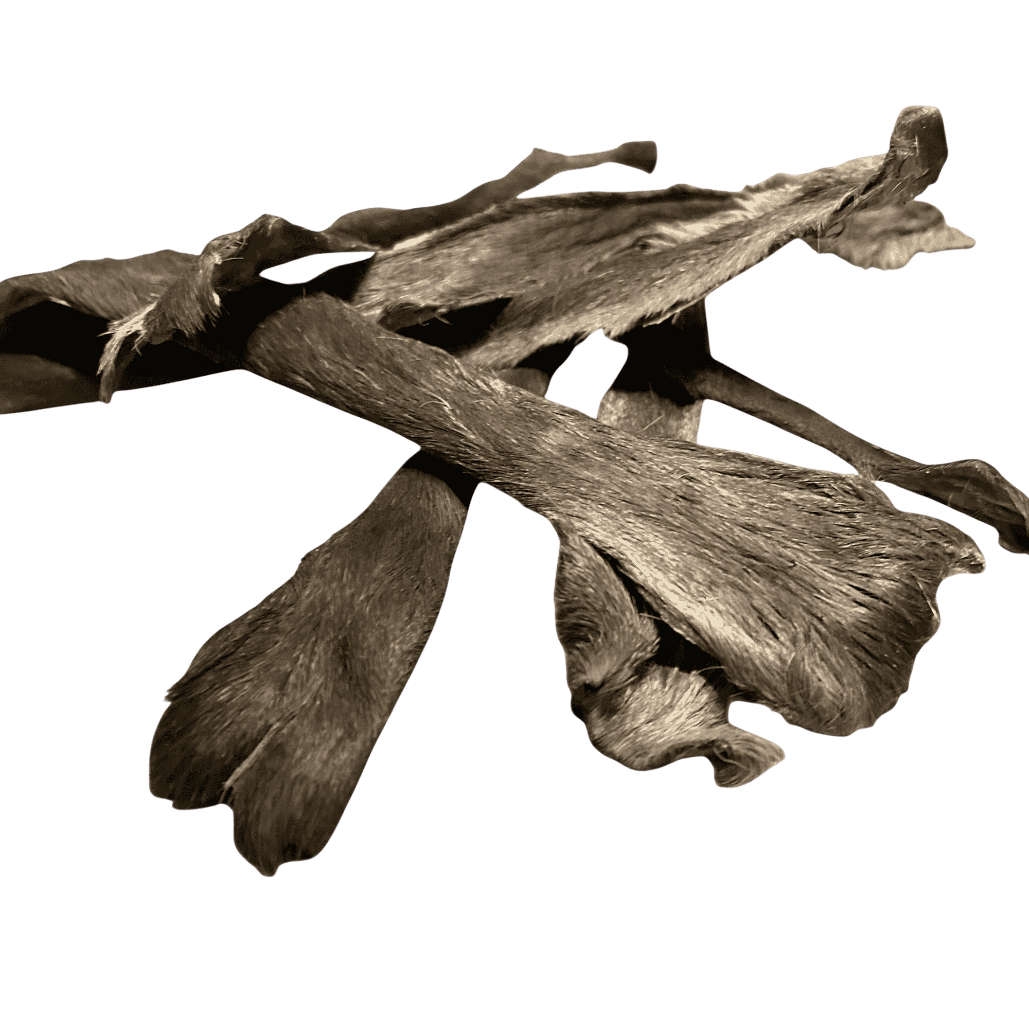 Rehhaut Stangen mit Fell Naturbelassener Kauartikel für Hunde 