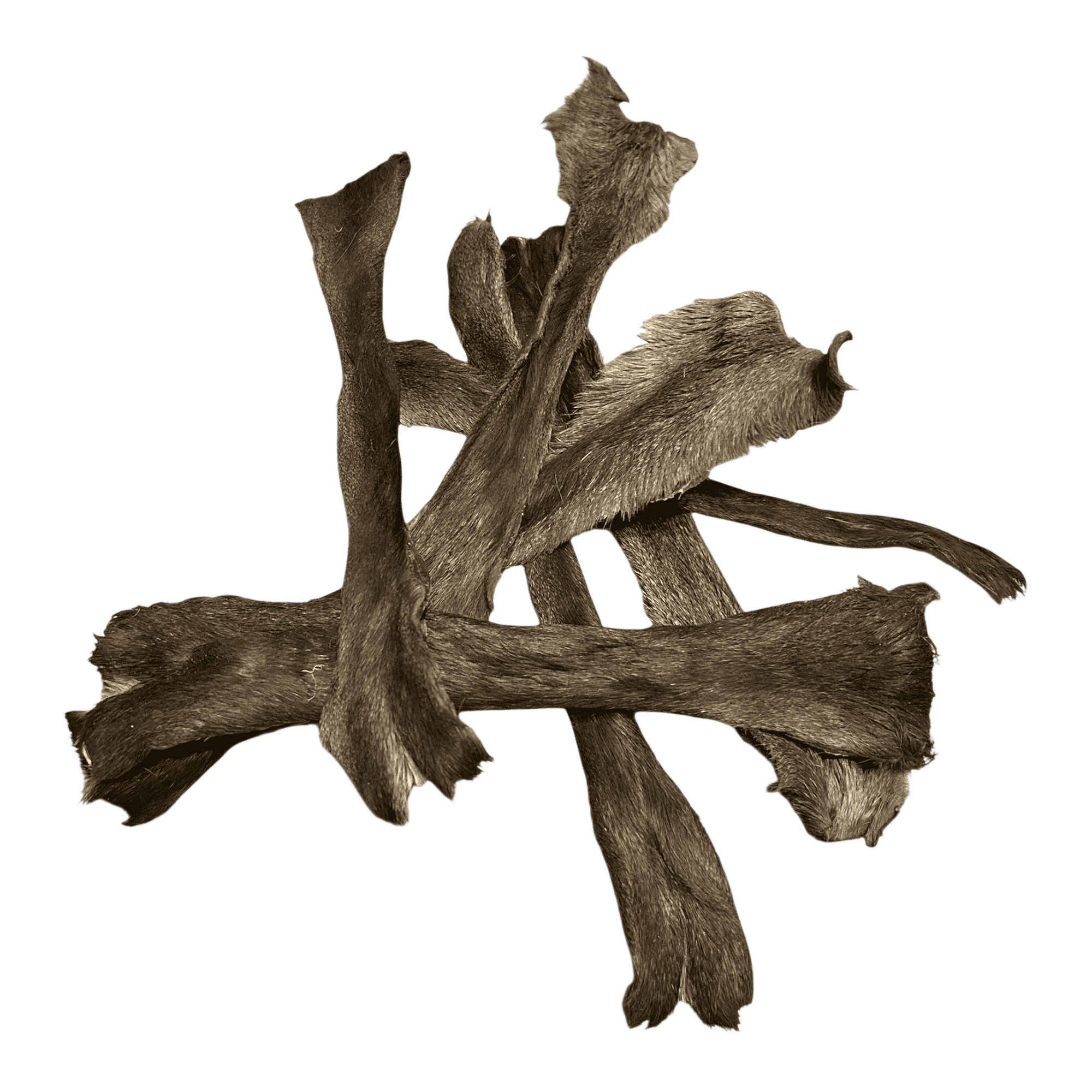 Rehhaut Stangen mit Fell Naturbelassener Kauartikel für Hunde 