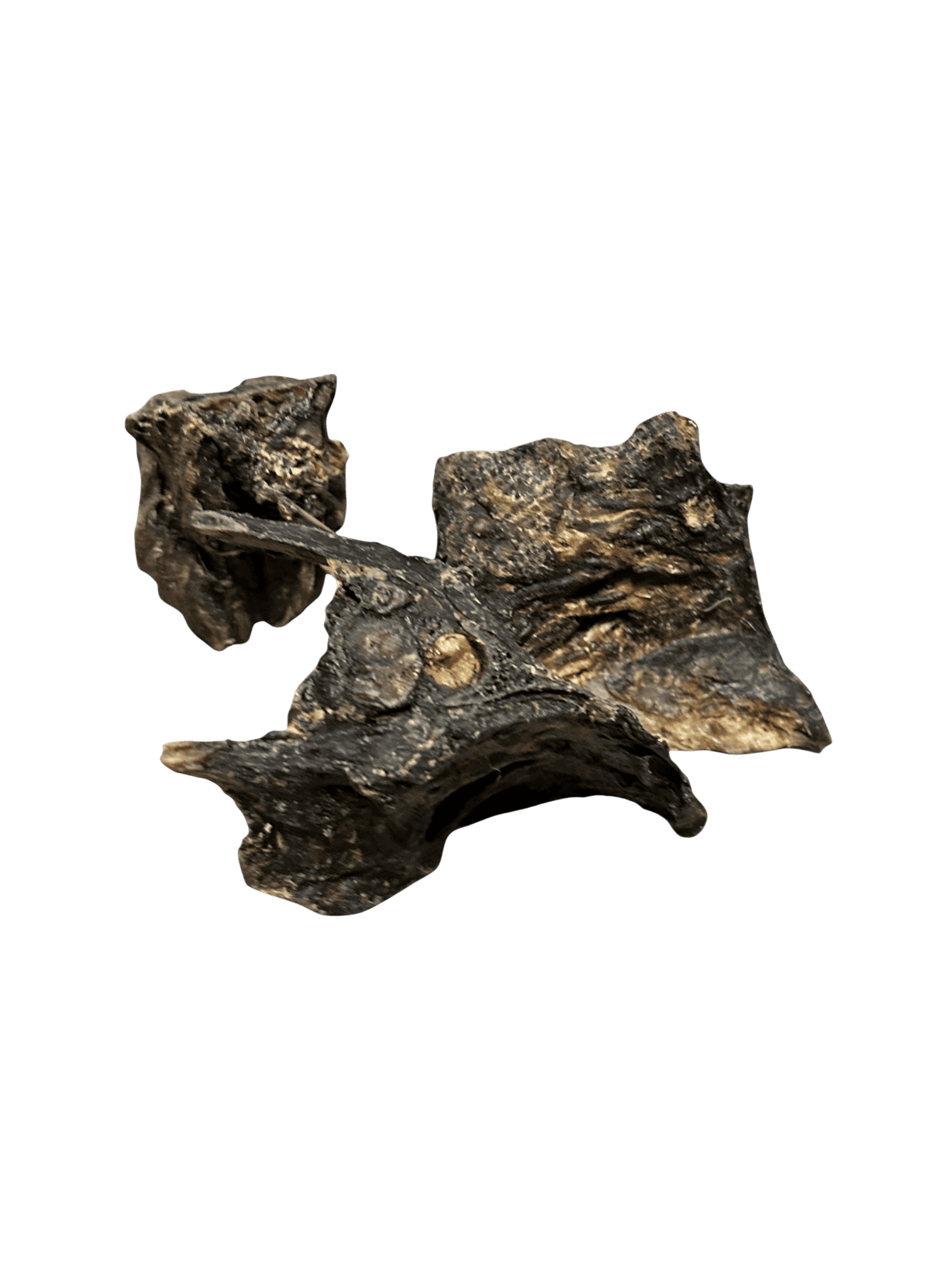 Natur-Kauartikel Drei Rehknochen Soft