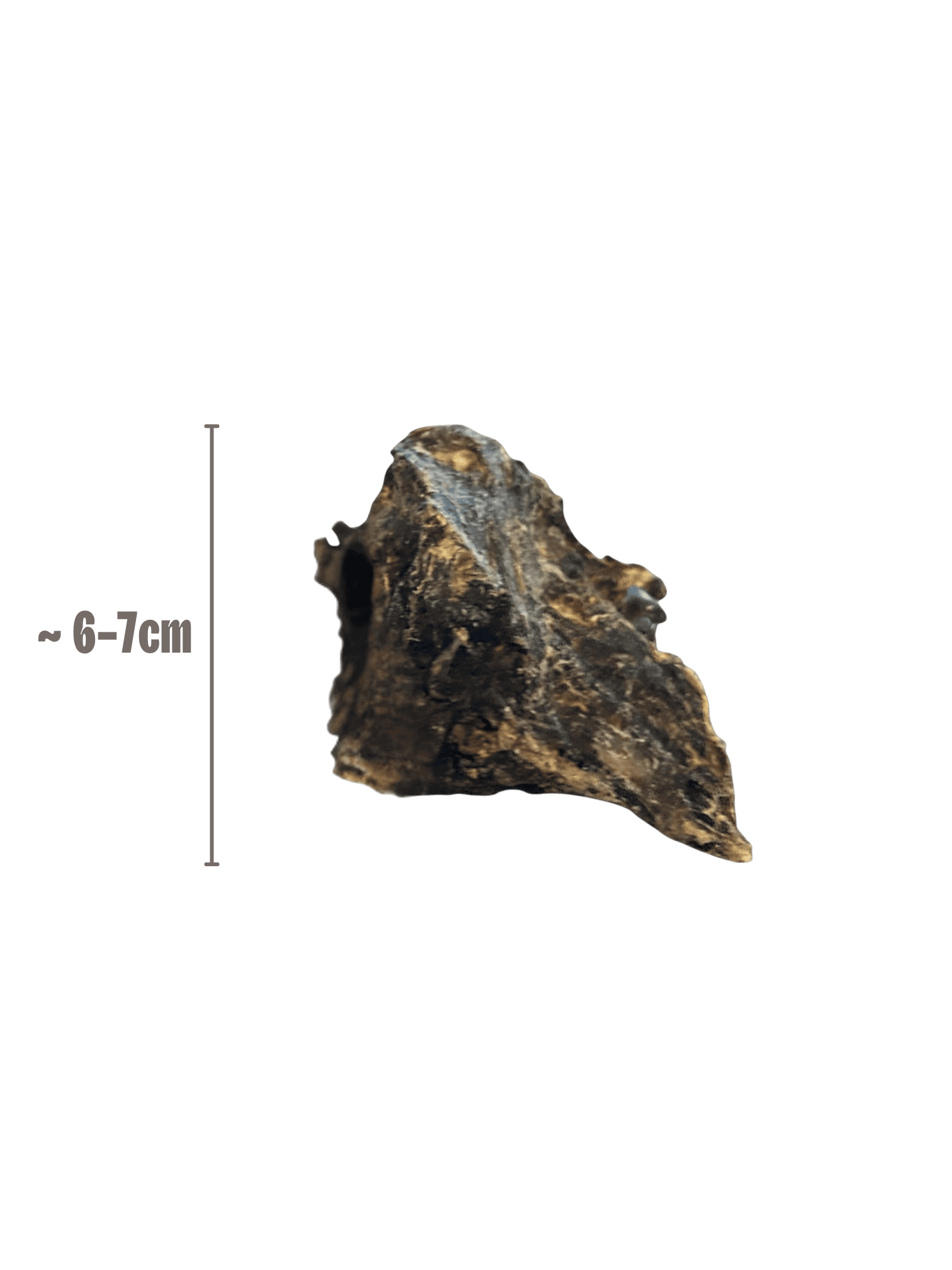 Natur-Kauartikel Rehknochen Soft mit abgebildeter Masangabe - 6-8 cm