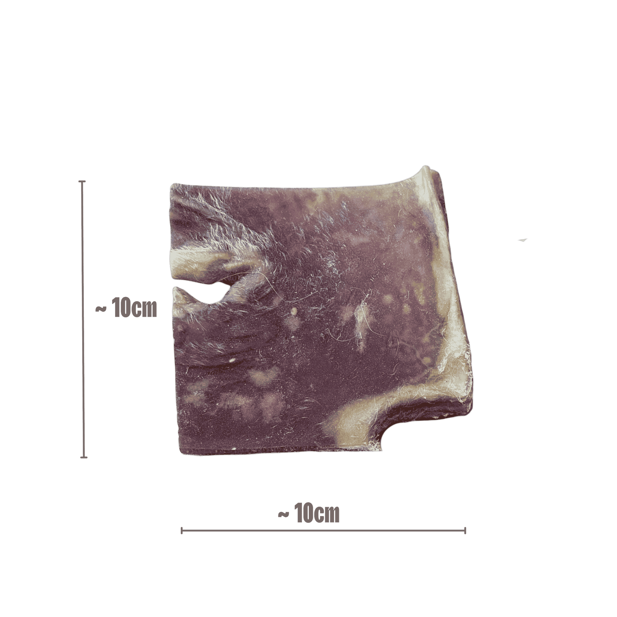 Rinderhautplatte-10x10cm-Kauartikel für Hunde 