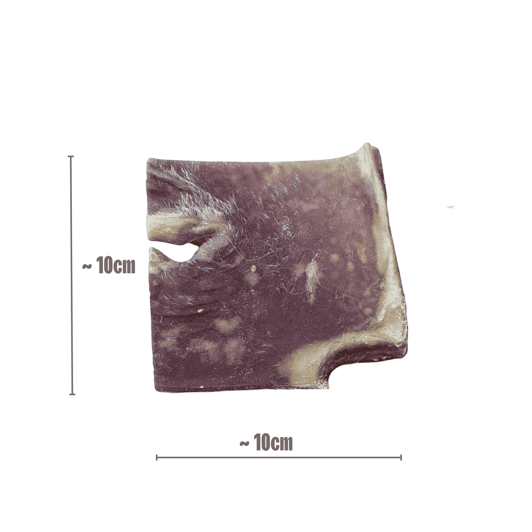 Rinderhautplatte-10x10cm-Kauartikel für Hunde 