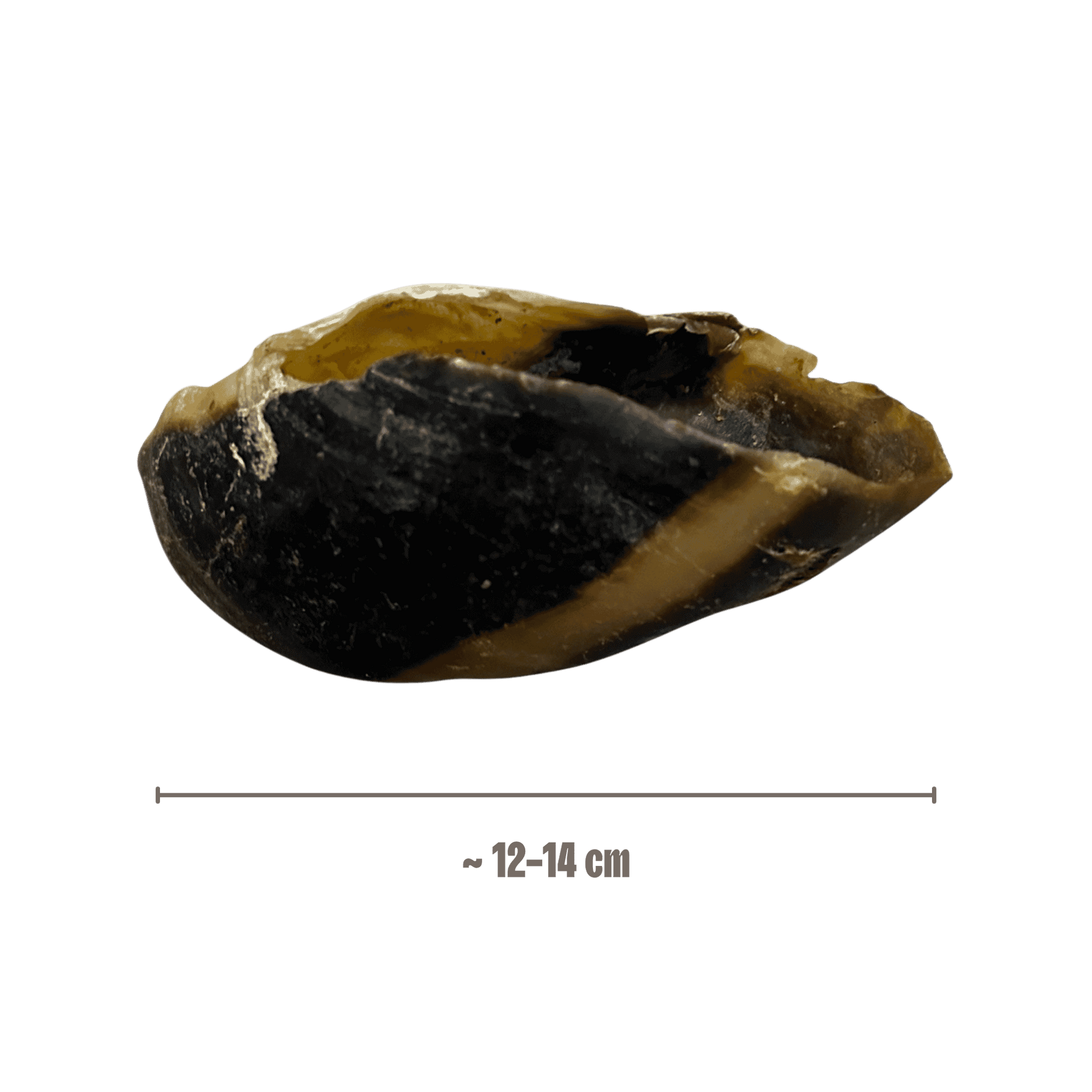 Rinderhufe Hund Stk mit Abmessungen