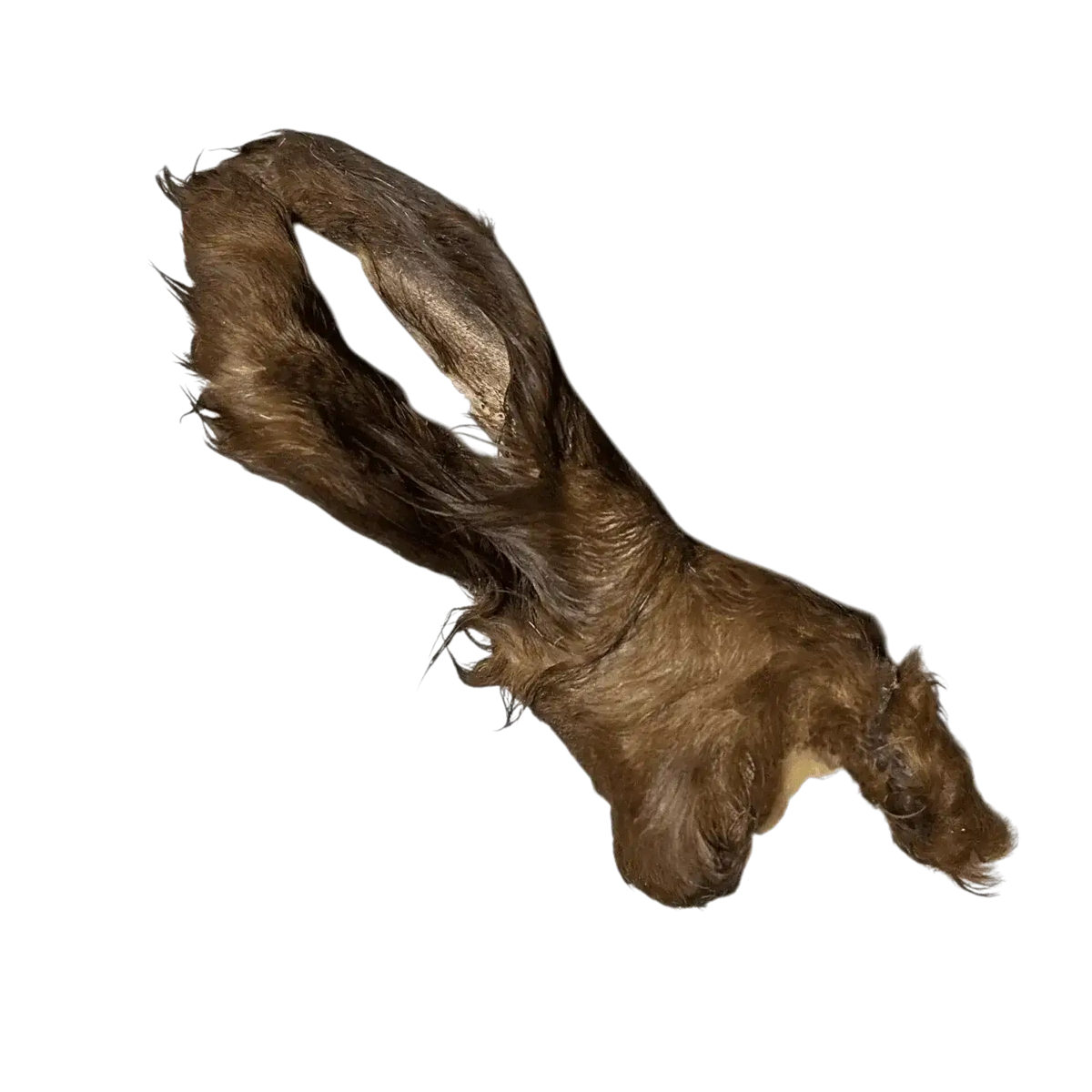 Rinderohr mit Fell XL – natürlicher Kauartikel für Hunde