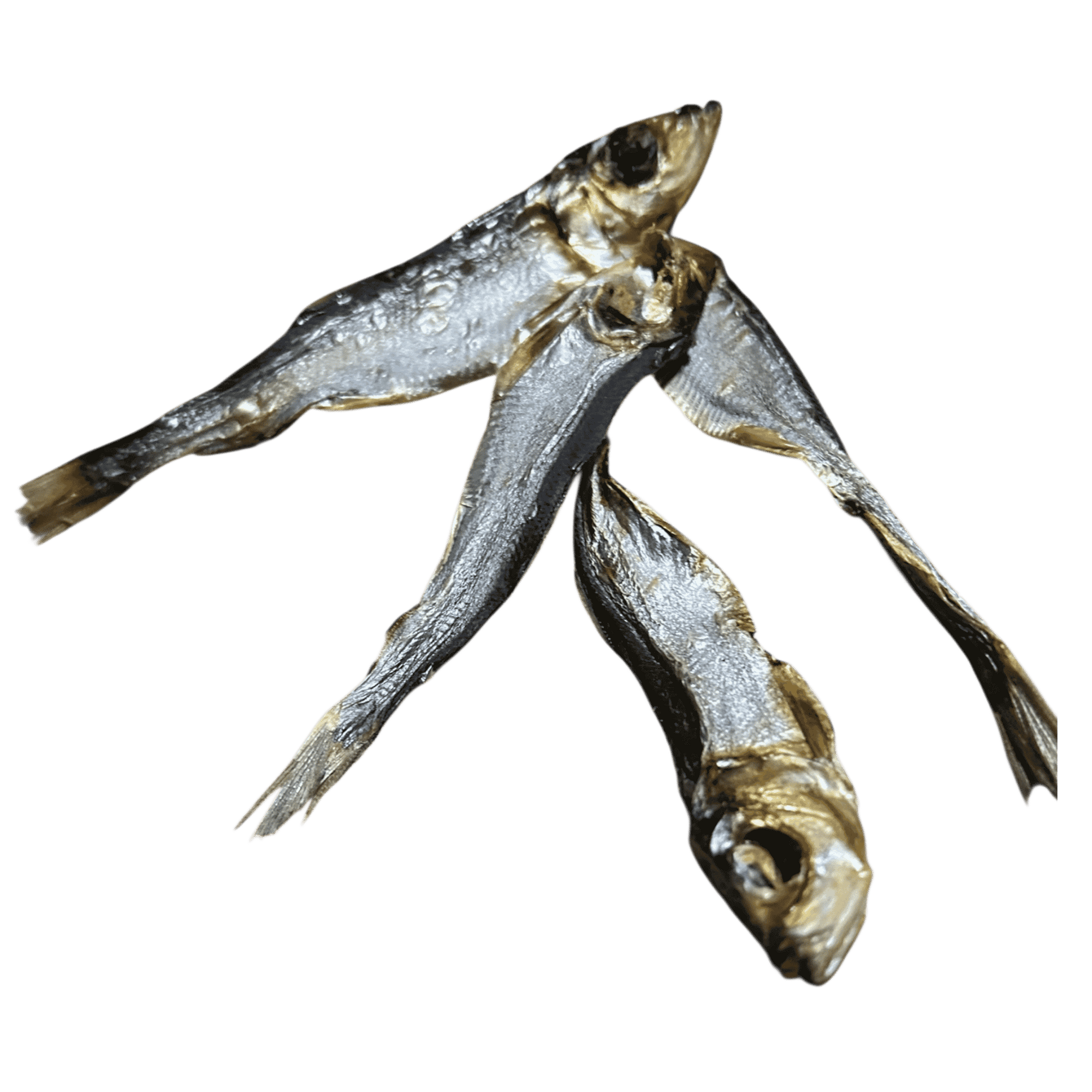 Sprotten XL Hunde-Kauartikel 