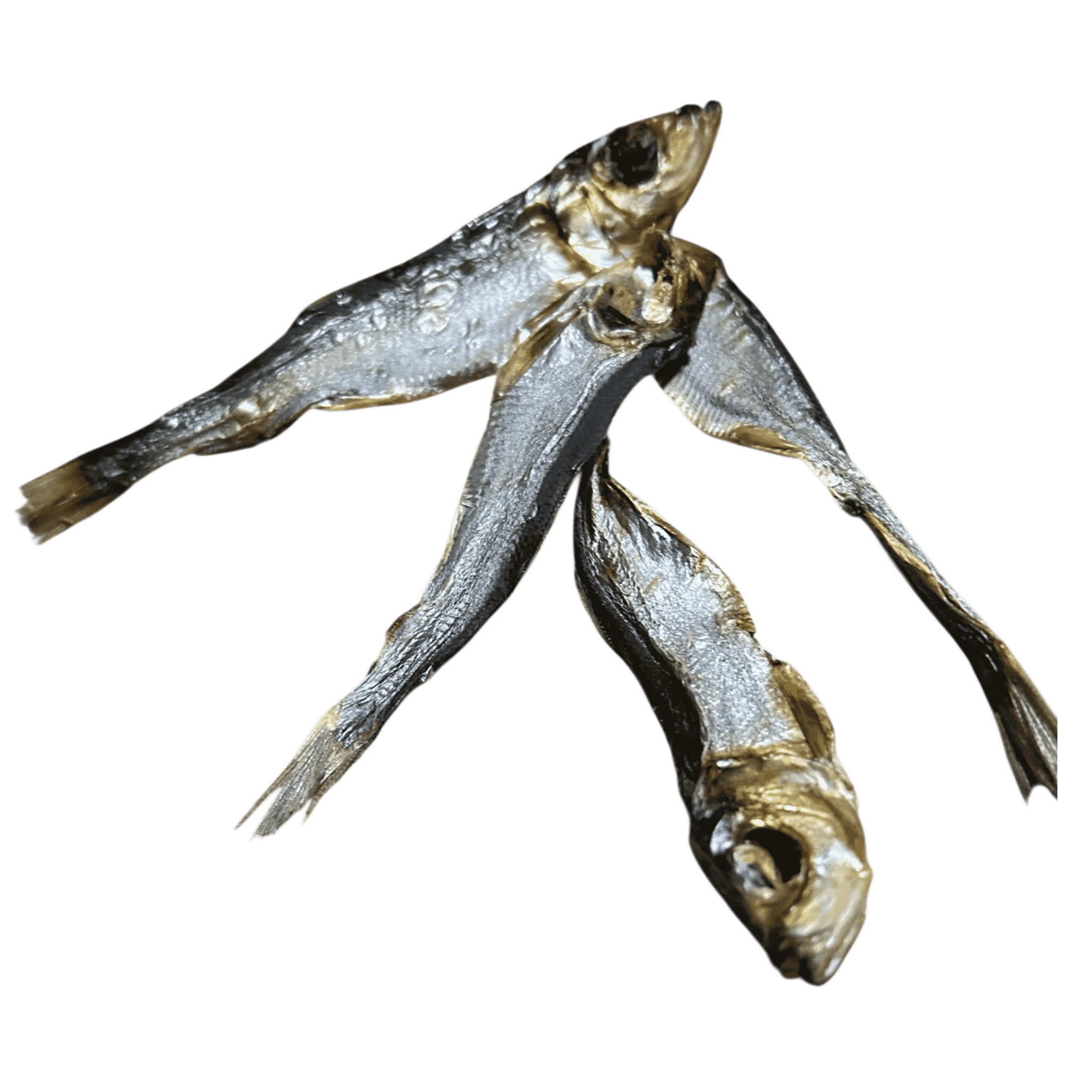 Sprotten XL Hunde-Kauartikel 