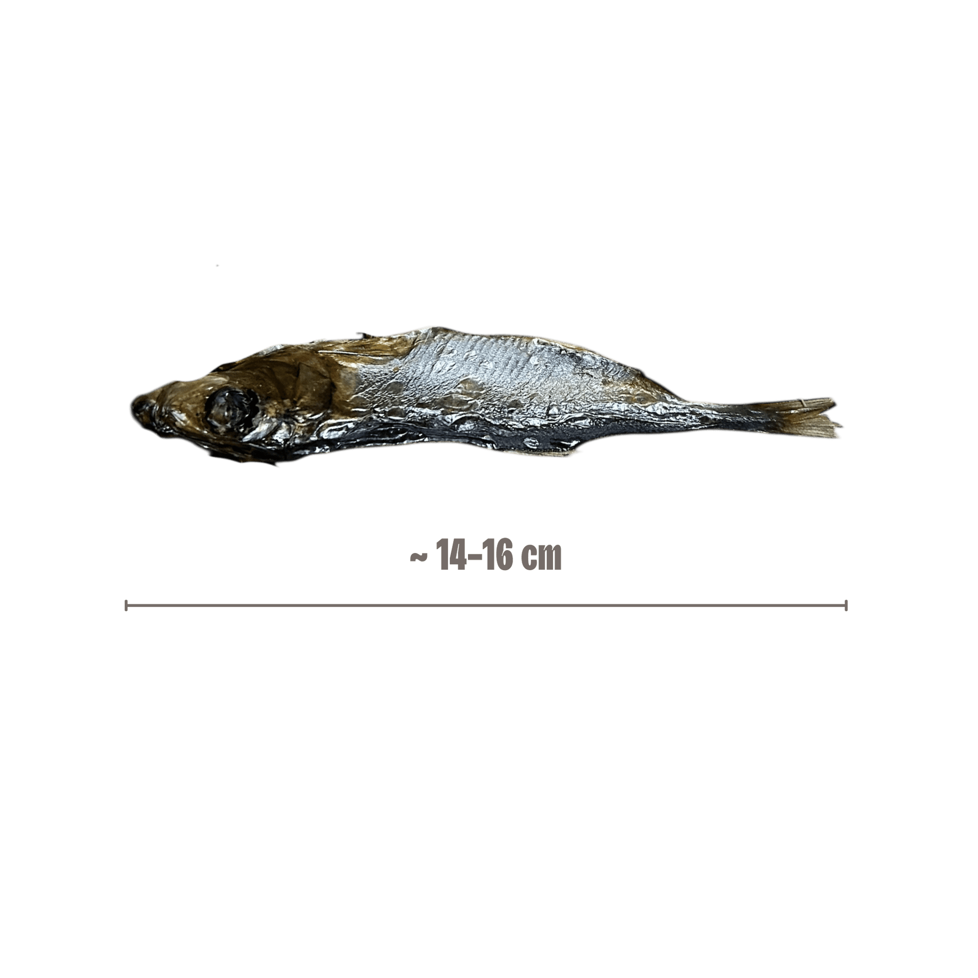 Sprotten XL Hunde-Kauartikel mit Größenangabe