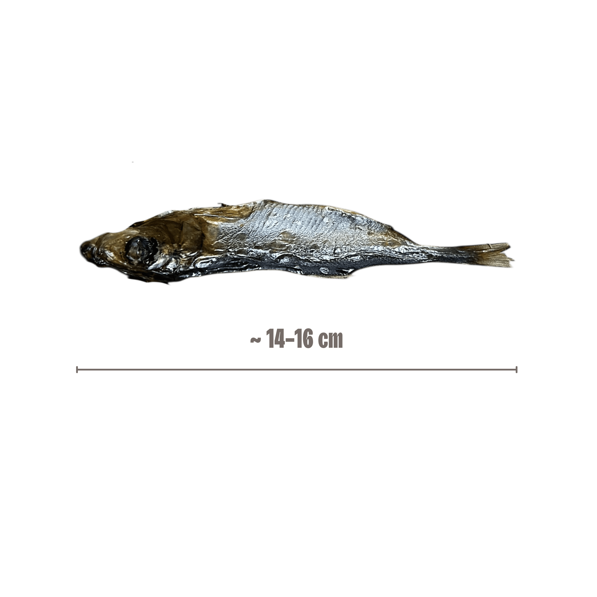 Sprotten XL Hunde-Kauartikel mit Größenangabe