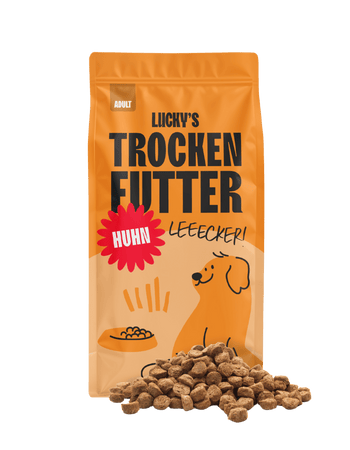 Liichy's Trockenfutter für Hunde mit Huhn, appetitliches Trockenfutter in orange Verpackung.
