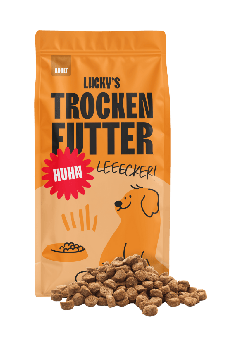 Trockenfutter Verpackung der Sorte Huhn für Hunde. Davor liegen Lecker aussehende Brikkets.