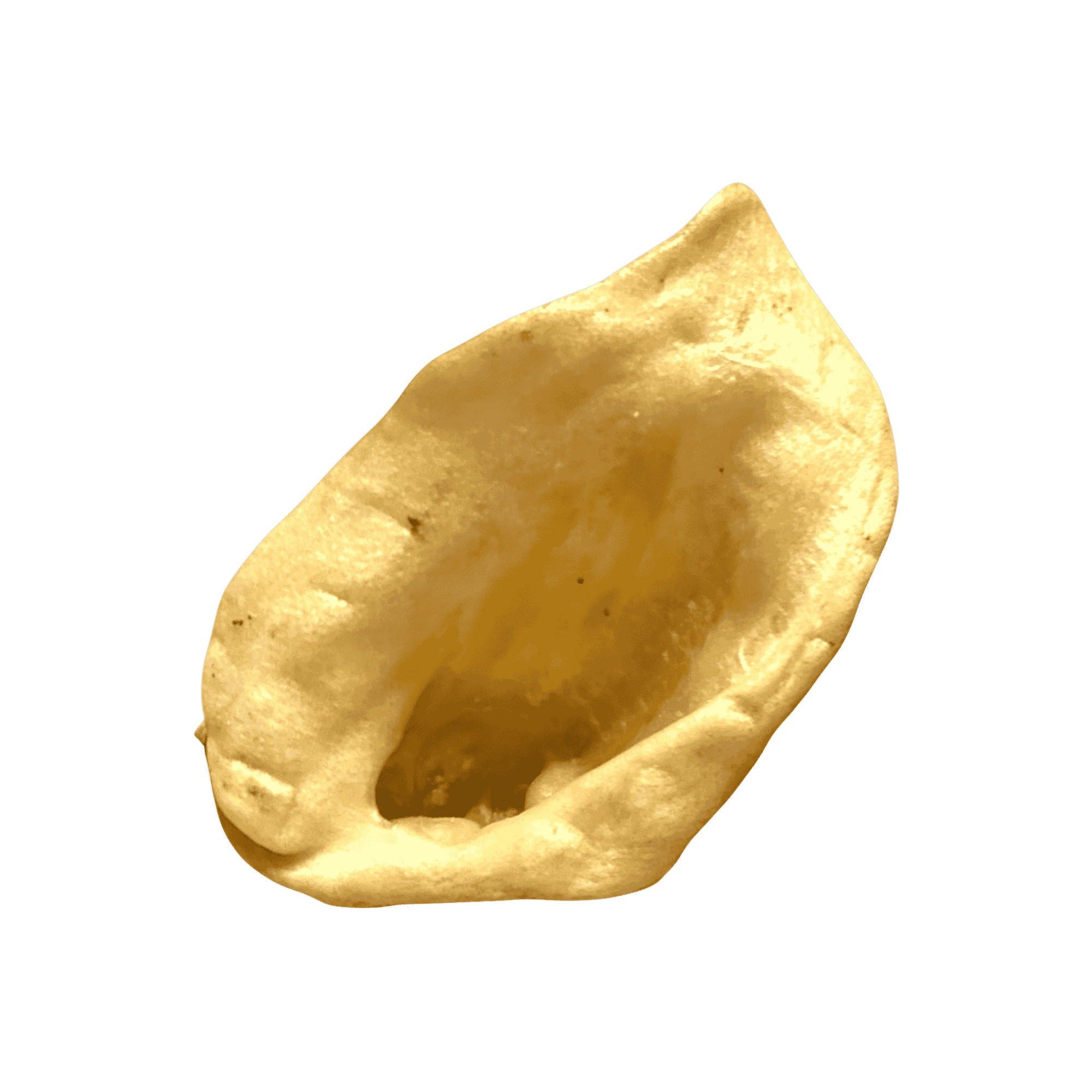 Knuspriges Wildschweinohr