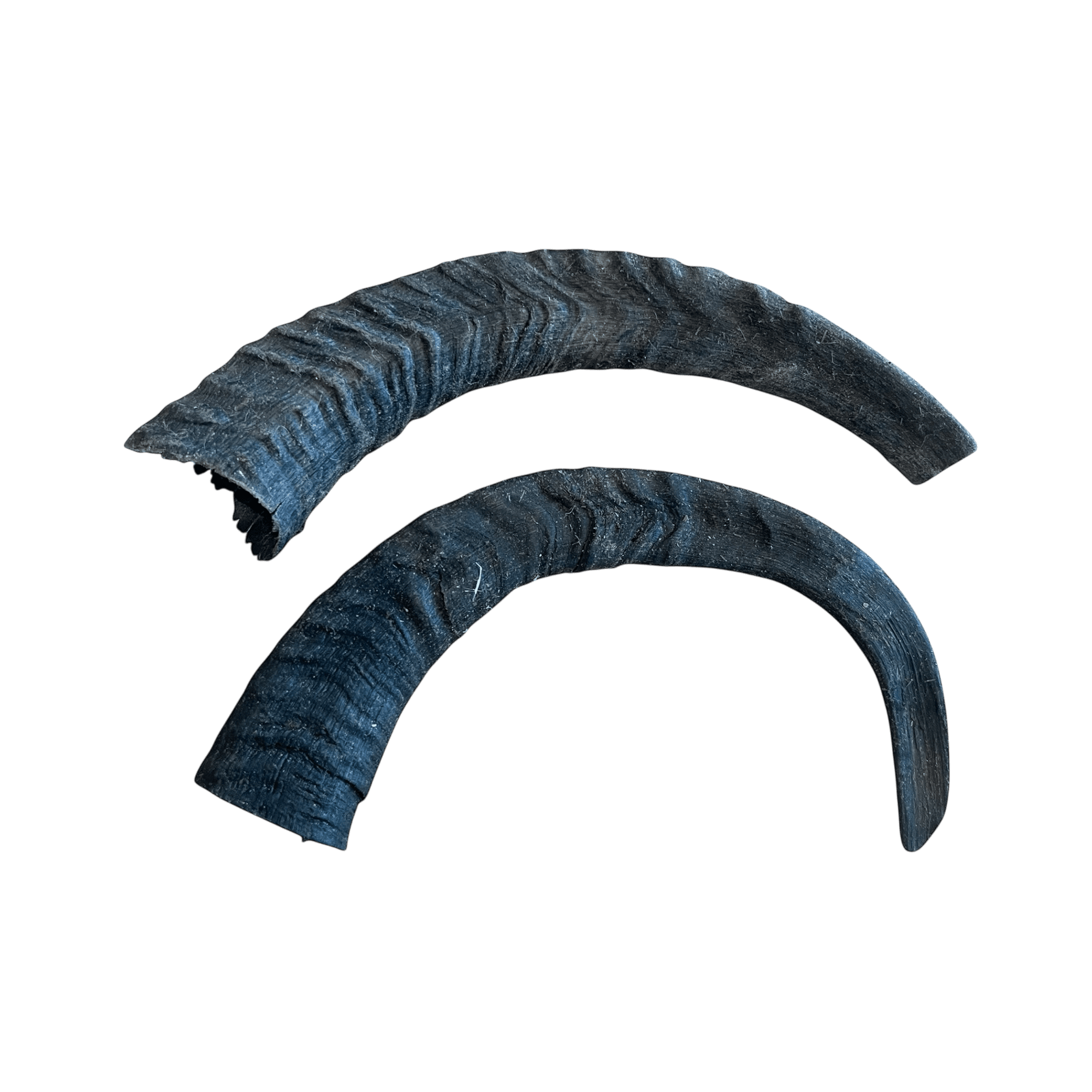 Ziegen Hörner: Natürliche Kausnacks für Hunde, hergestellt aus hochwertigen Ziegen-Hörnern.