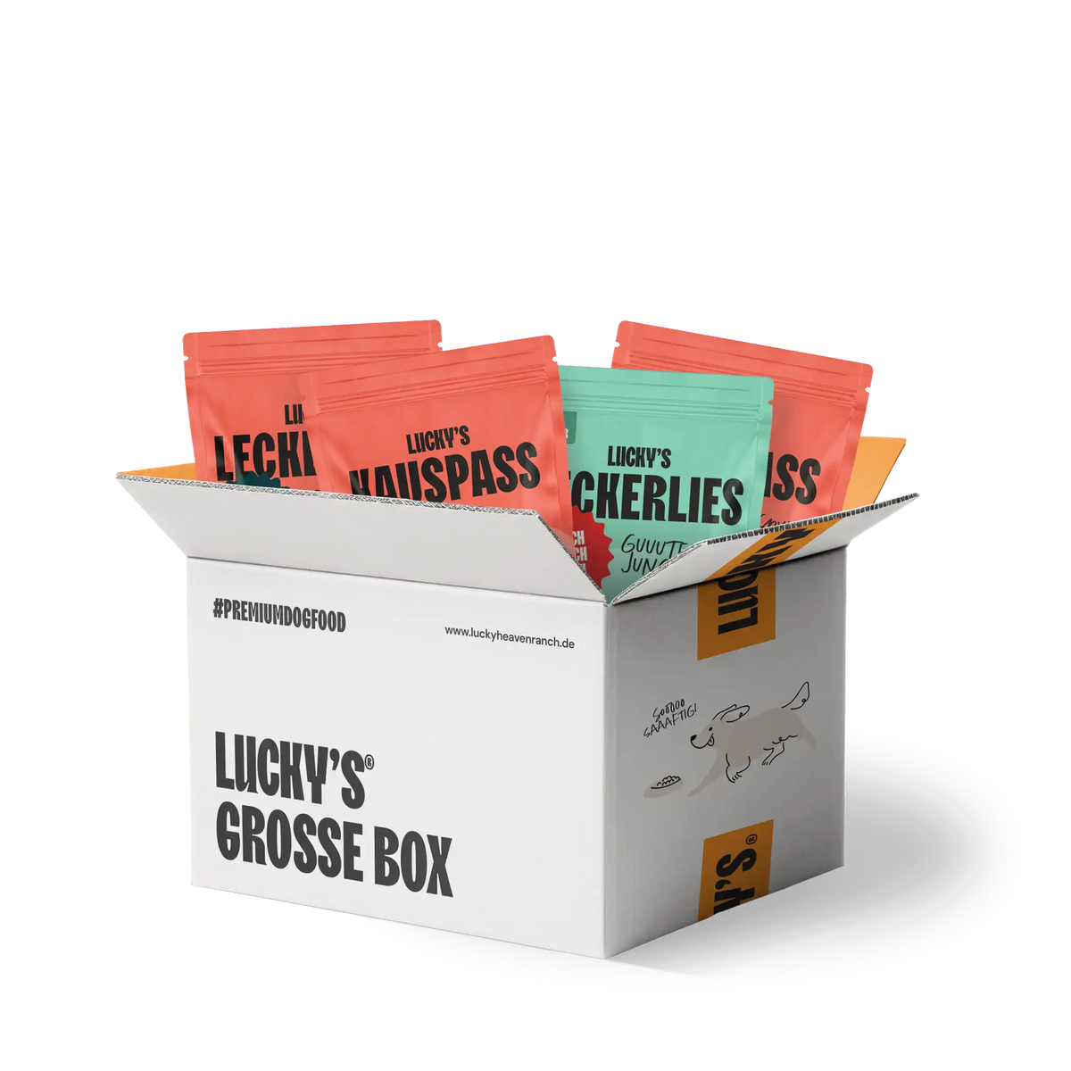 Große-Hunde-Box mit verschiedenen Kauartikeln von Licky’s in einer robusten und auffälligen Verpackung.