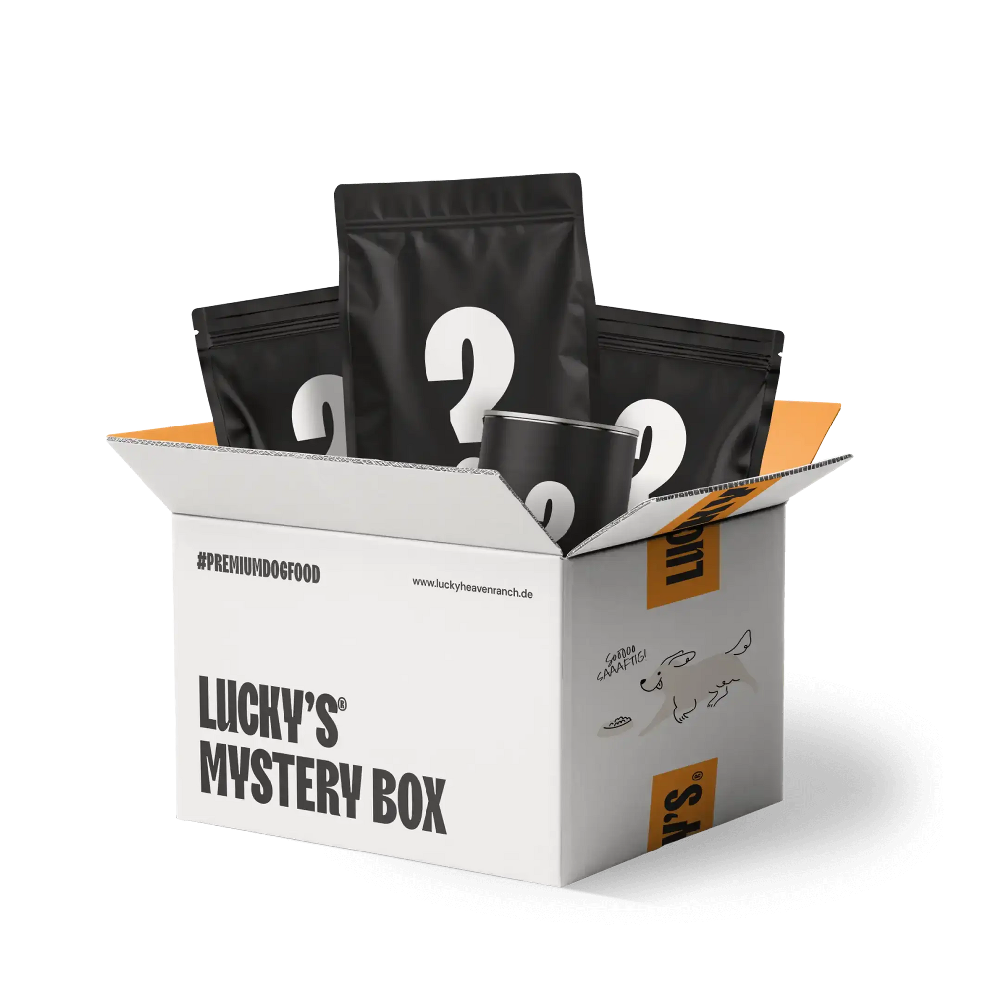 Mystery Box with black bags and toys for dogs, perfect for monthly surprises.