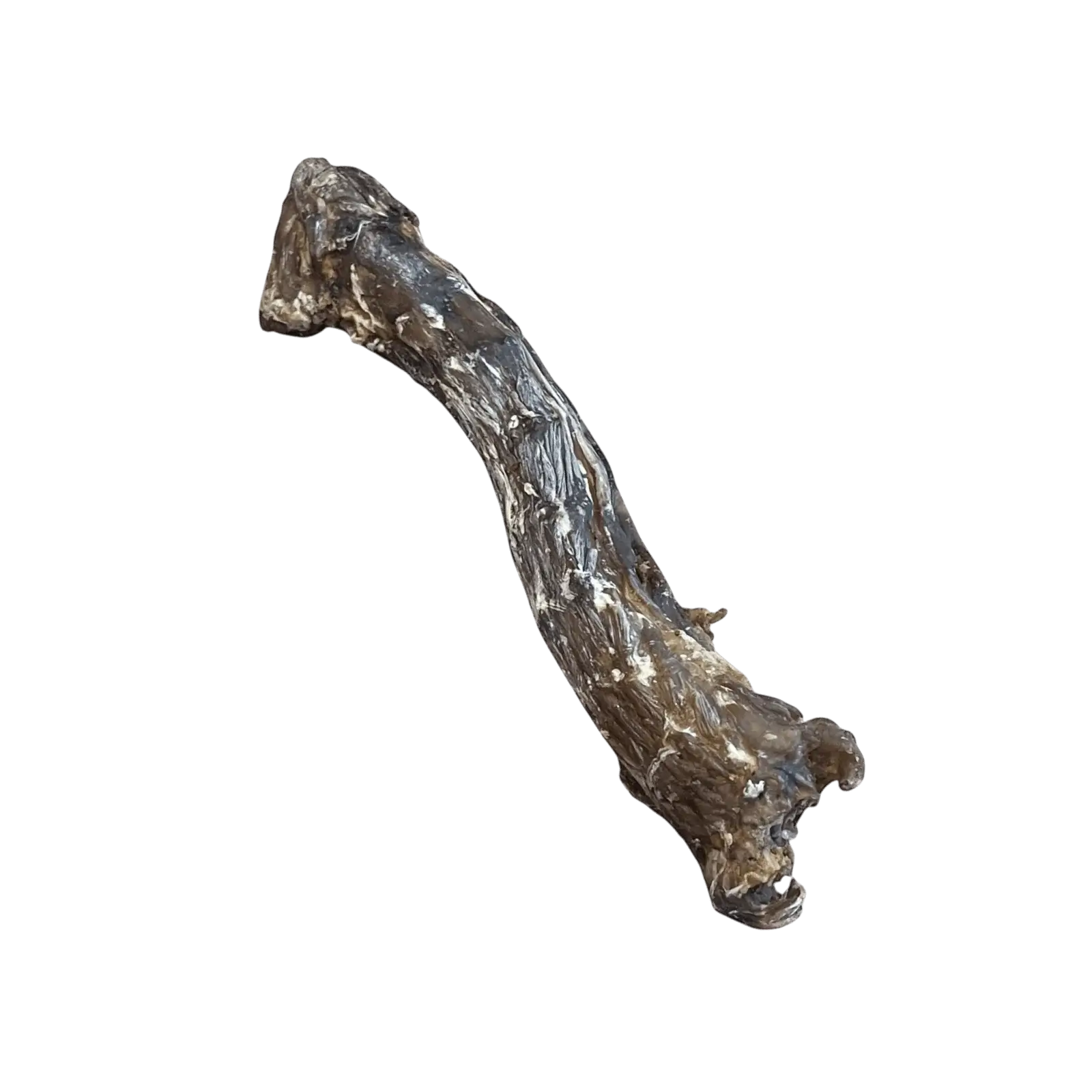 Einzelner, schonend getrockneter Entenhals als schmackhafter Kausnack für Hunde