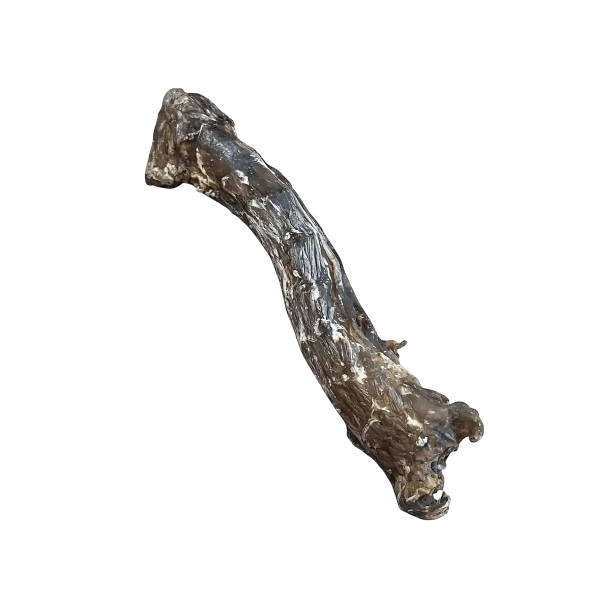 Einzelner, schonend getrockneter Entenhals als schmackhafter Kausnack für Hunde