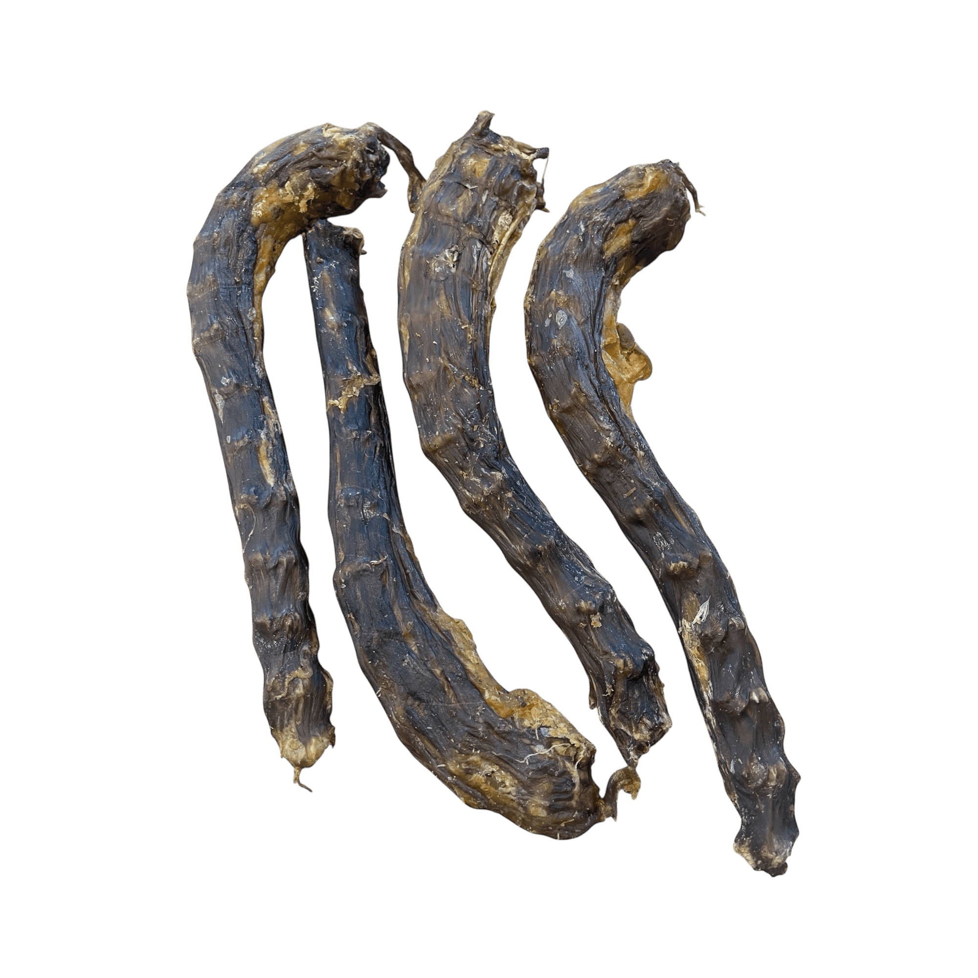 Gänsehälse, natürliche Kauartikel für Hunde, reich an Proteinen und Nährstoffen.