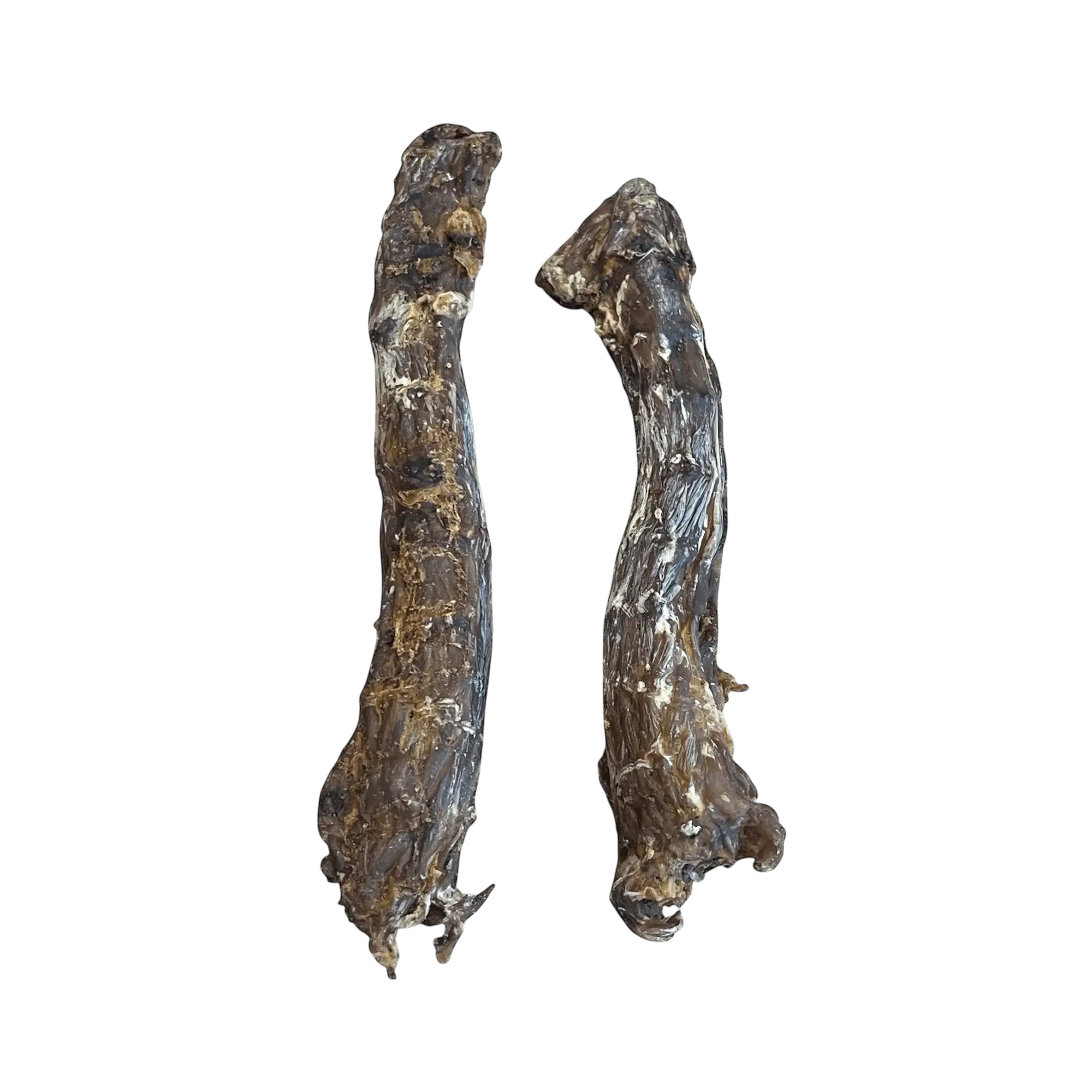 Zwei getrocknete Entenhälse als natürlicher und knackiger Kauartikel für Hunde vor weißem Hintergrund