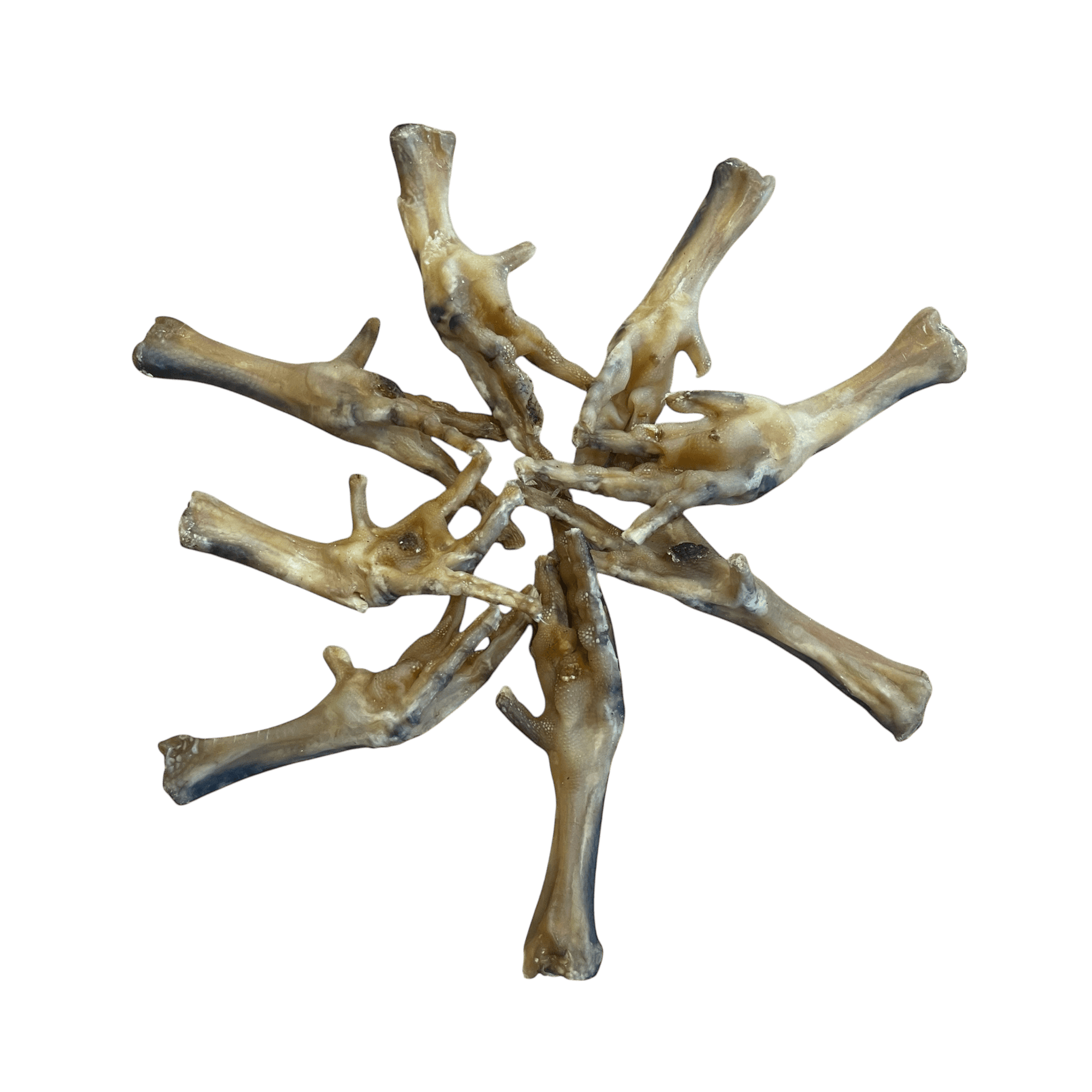 Hühnerfüße – Knusprige Kauartikel für Vierbeiner.