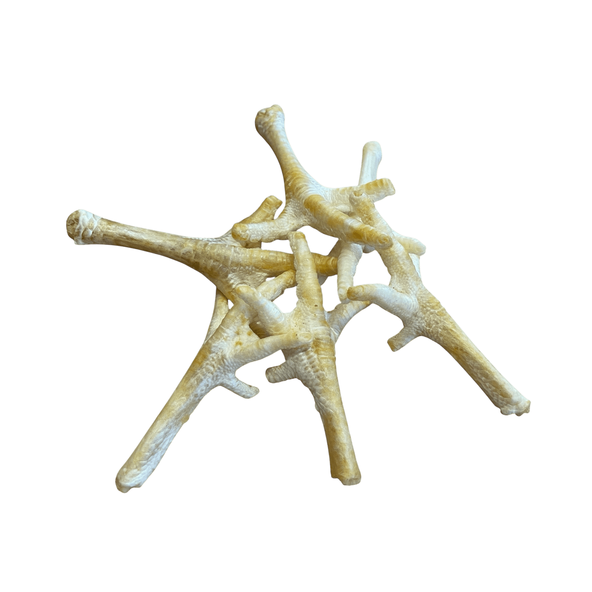 Hühnerfüße Weiß – knusprige, gepuffte Hühnerfüße für Hunde, idealer Kauspaß für Vierbeiner.