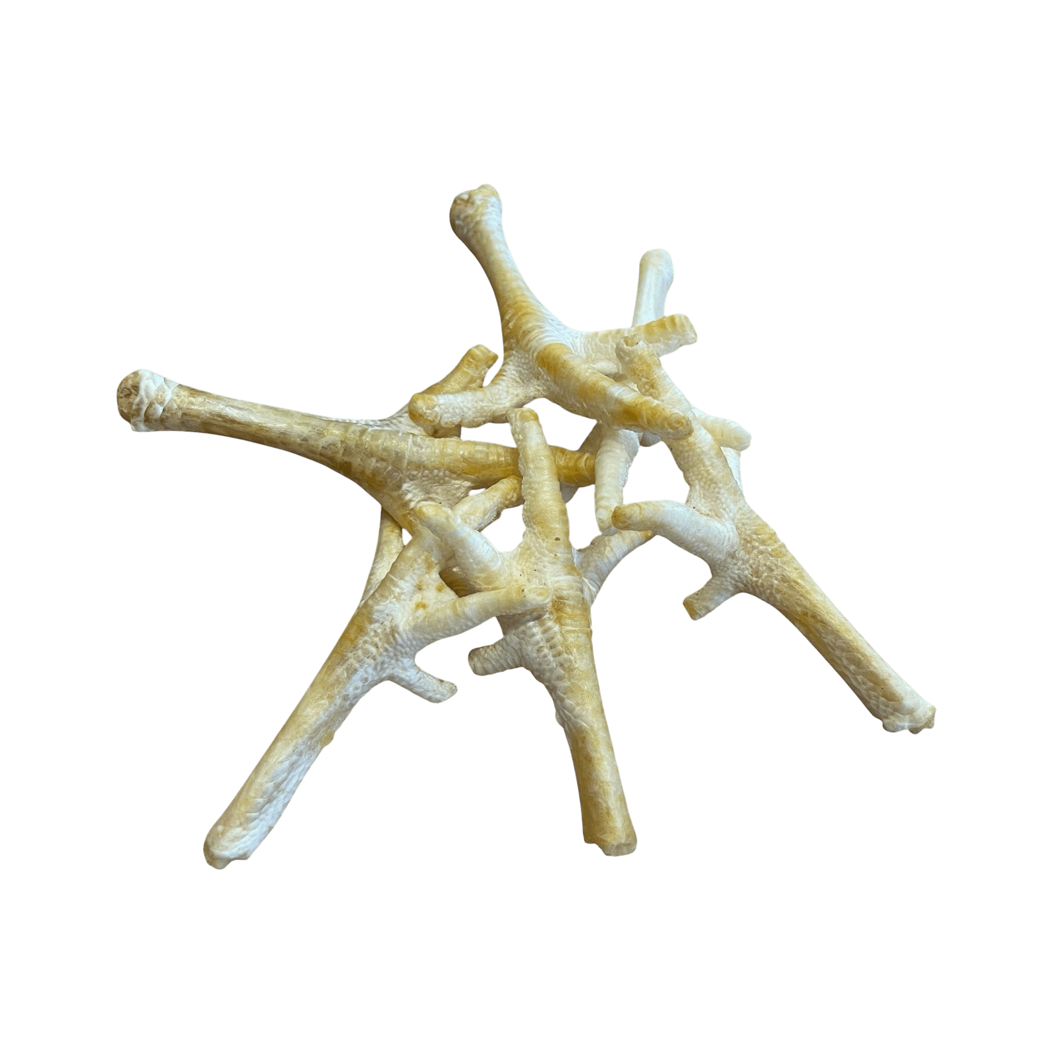 Hühnerfüße Weiß – knusprige, gepuffte Hühnerfüße für Hunde, idealer Kauspaß für Vierbeiner.