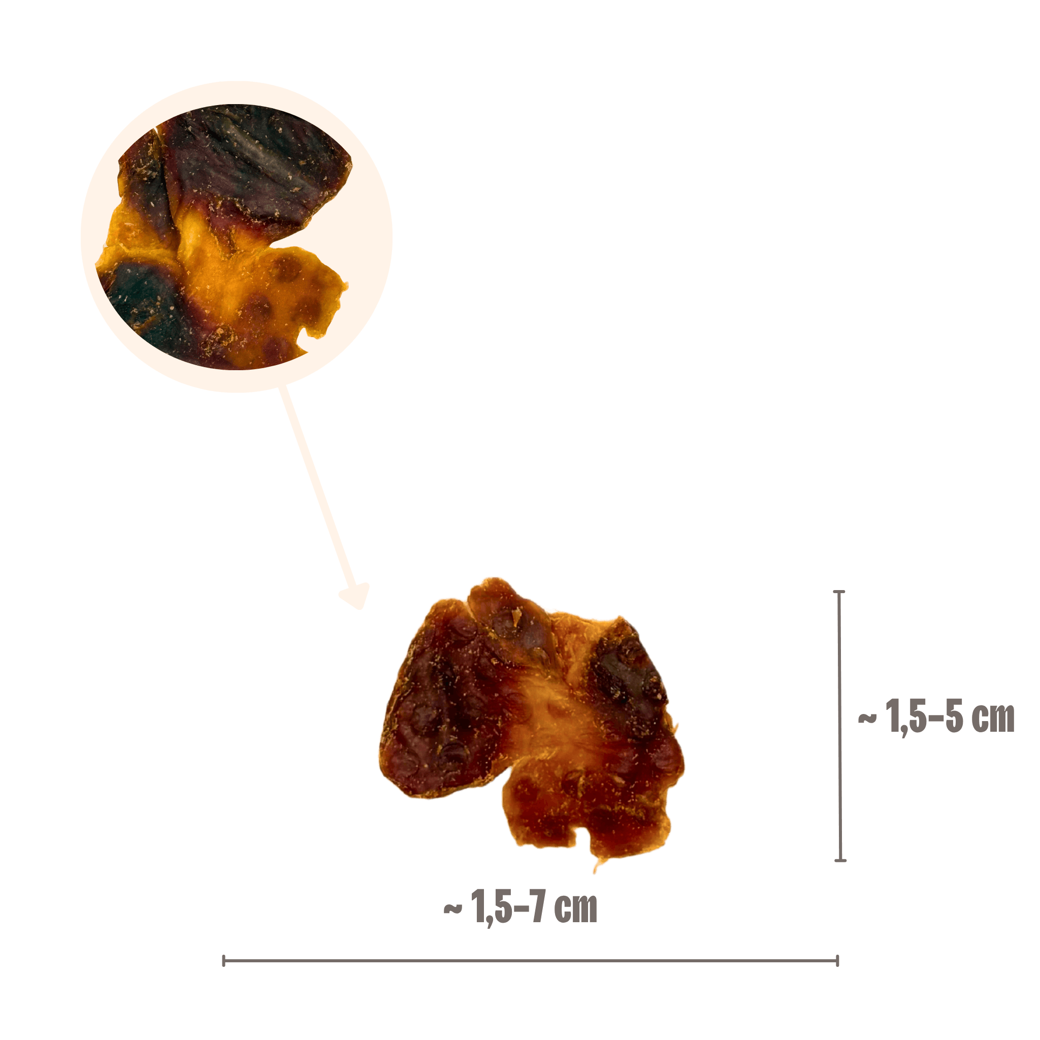 Größenangabe für Hühnermägen-Hundeleckerlis von ca. 1,5 bis 7 cm mit Lupenansicht der Fleischstruktur