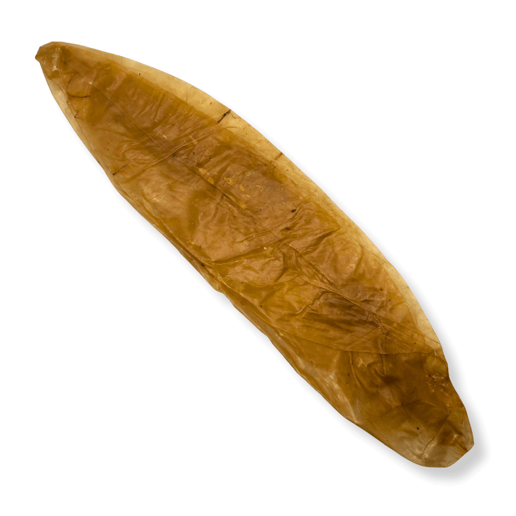 Naturbelassene, schonend getrocknete Kalbsblase als gesunder Kauartikel für Hunde.