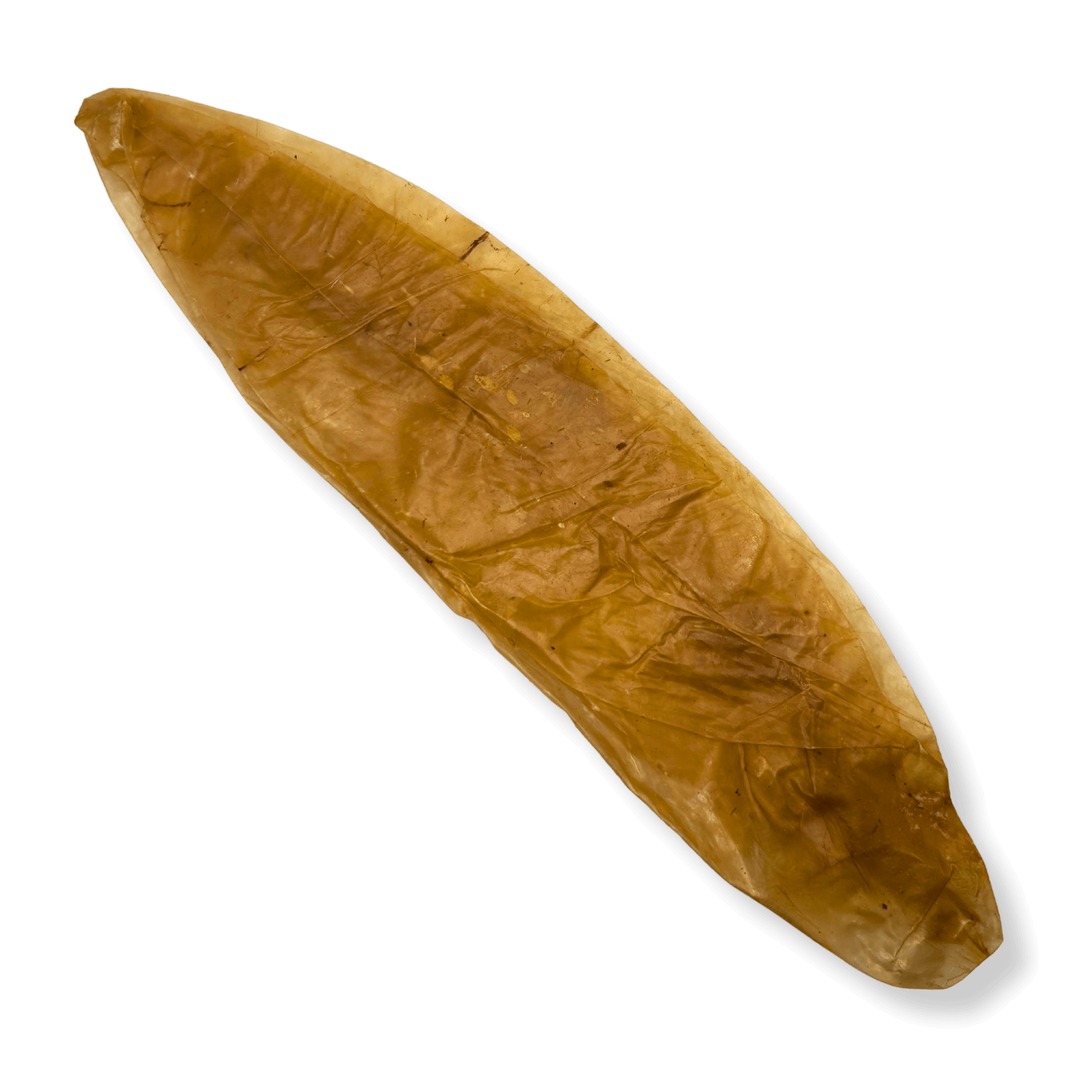 Naturbelassene, schonend getrocknete Kalbsblase als gesunder Kauartikel für Hunde.