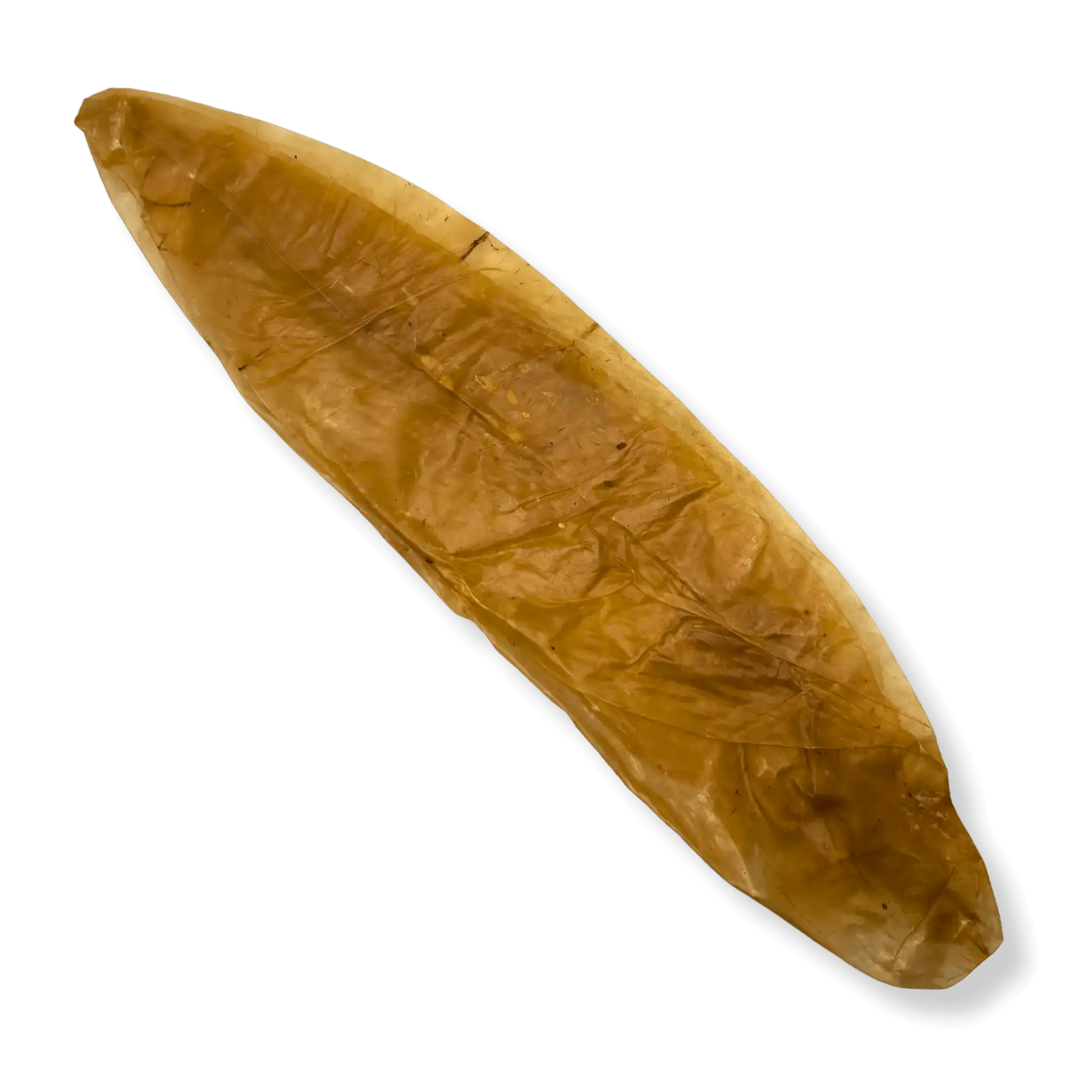 Naturbelassene, schonend getrocknete Kalbsblase als gesunder Kauartikel für Hunde.