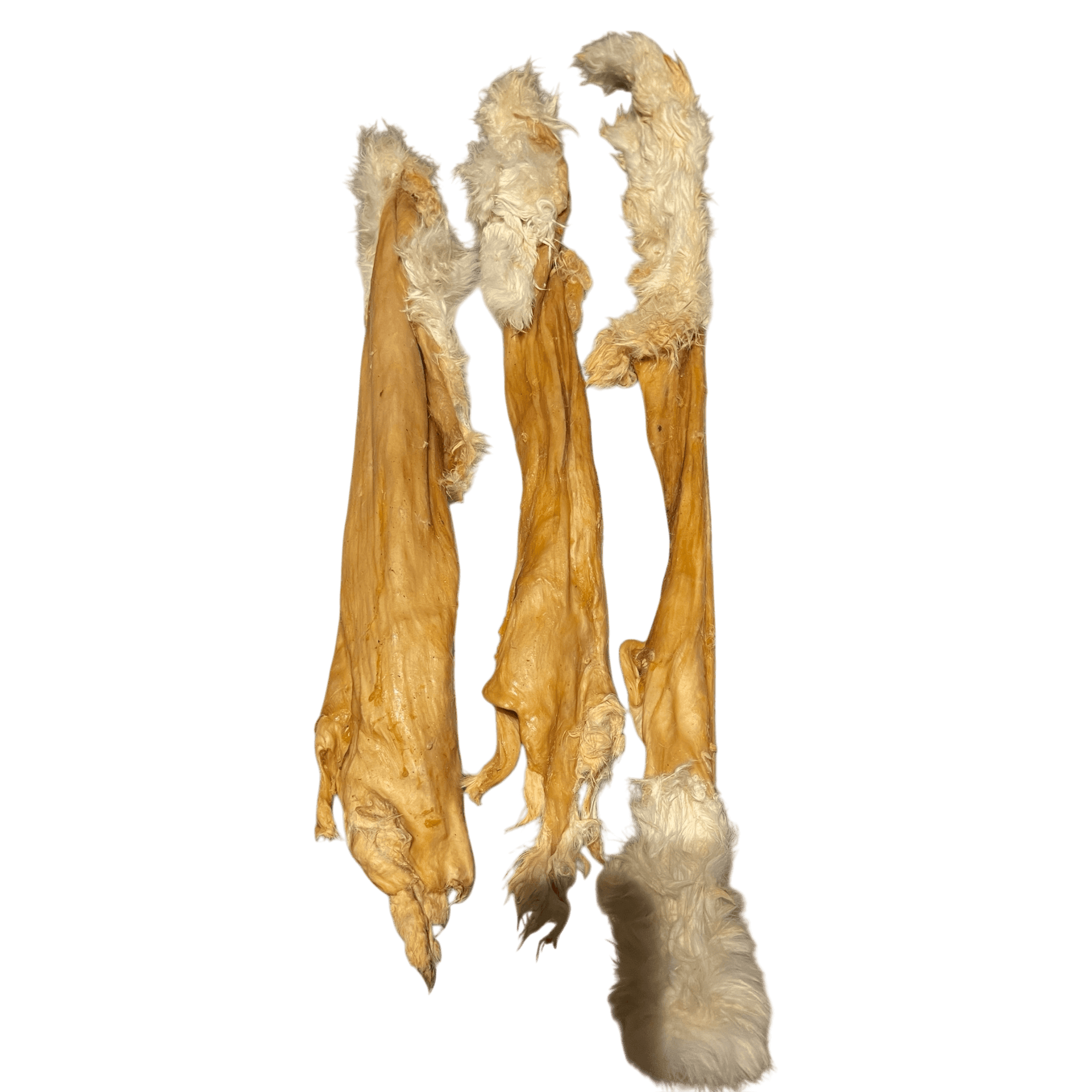 Kaninchenhautstange mit Fell, natürlicher Kauartikel für Hunde aus reinem Naturprodukt.