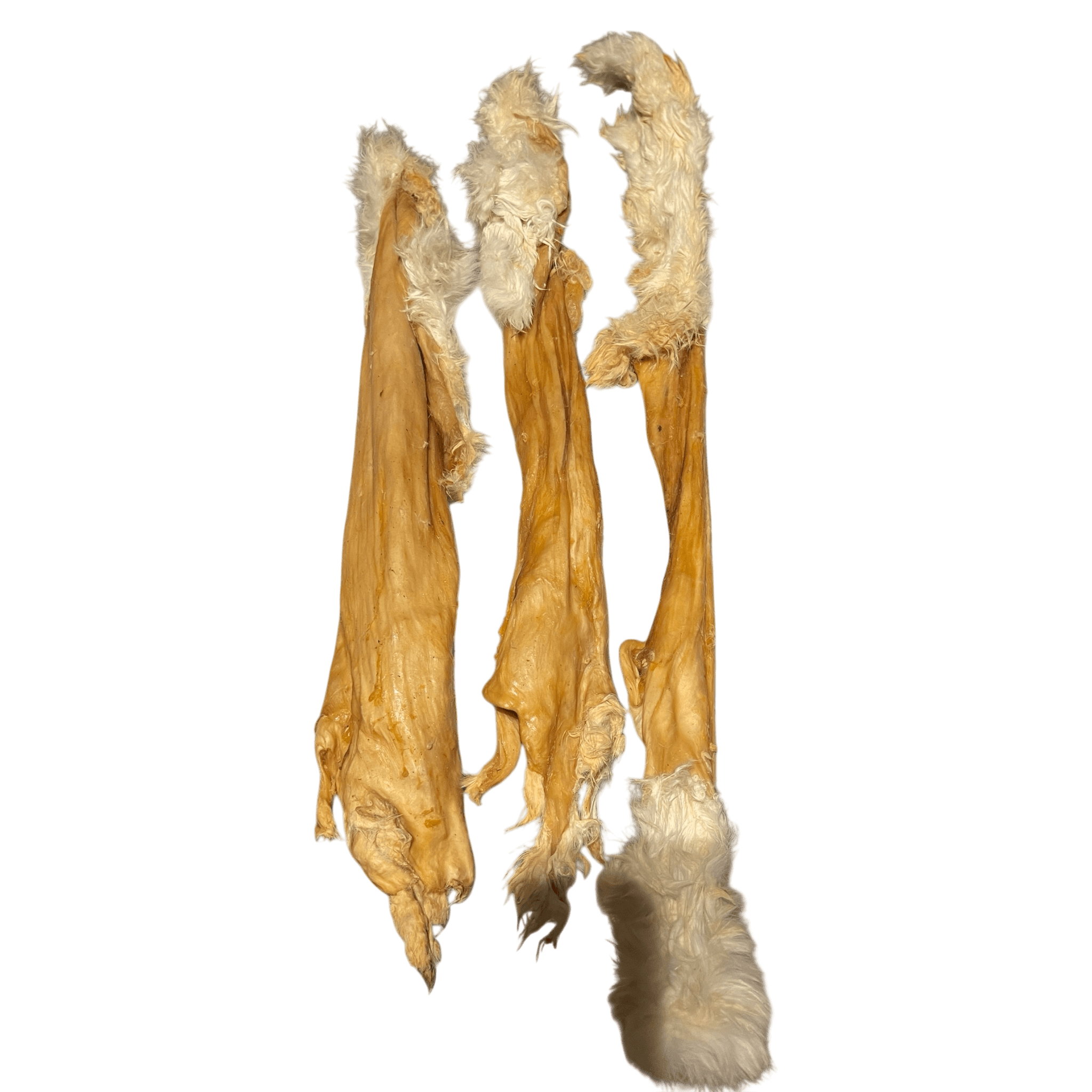 Kaninchenhautstange mit Fell, natürlicher Kauartikel für Hunde aus reinem Naturprodukt.